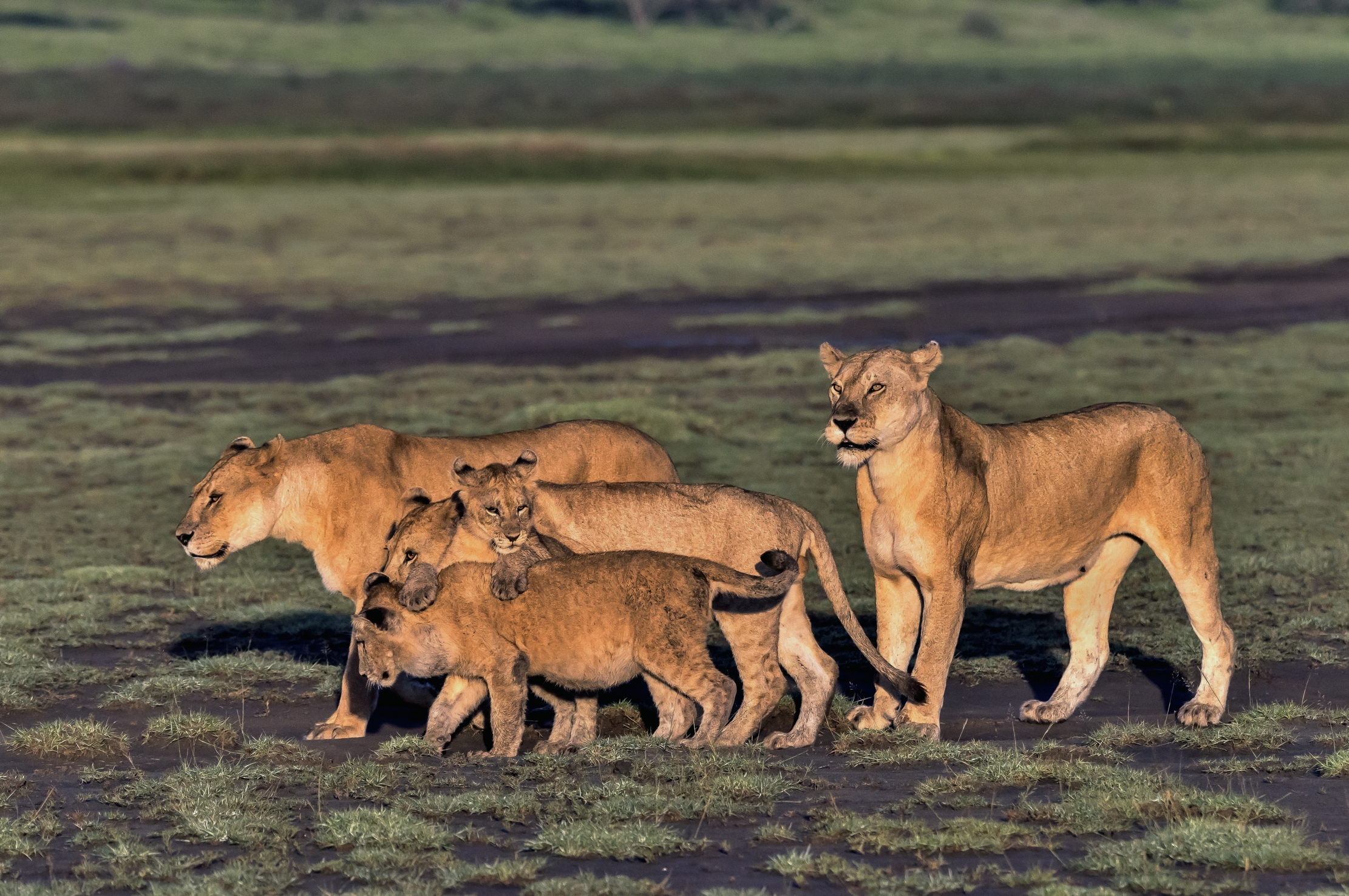 Tanzania 2016 - La famiglia
