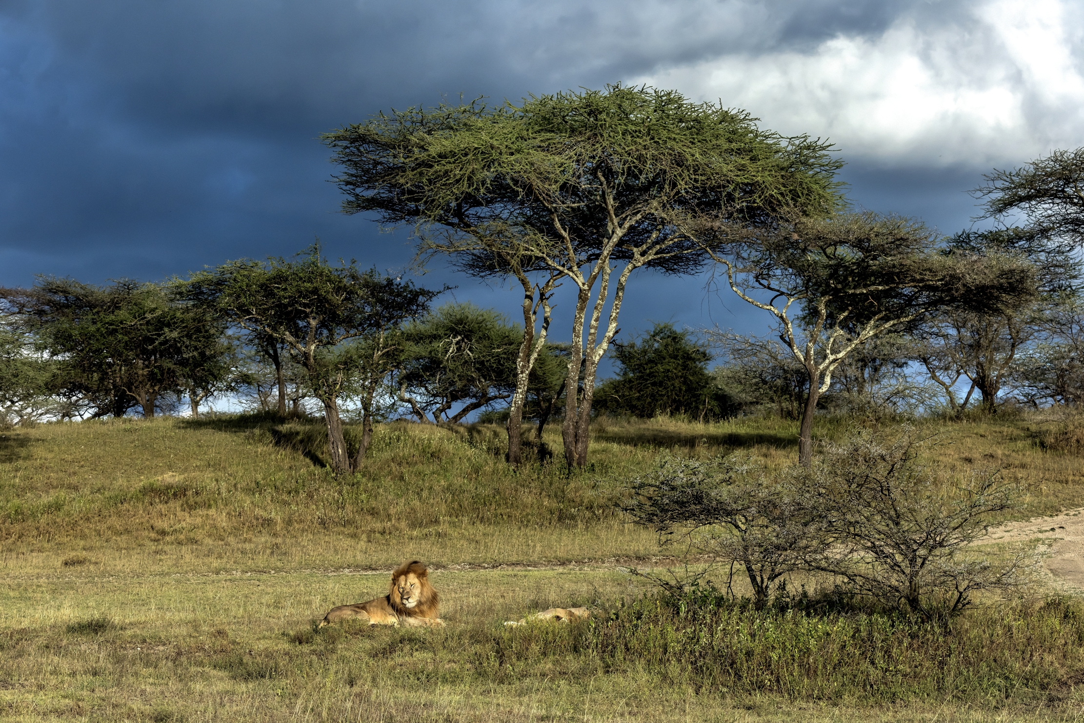 Tanzania 2016 - Landscape