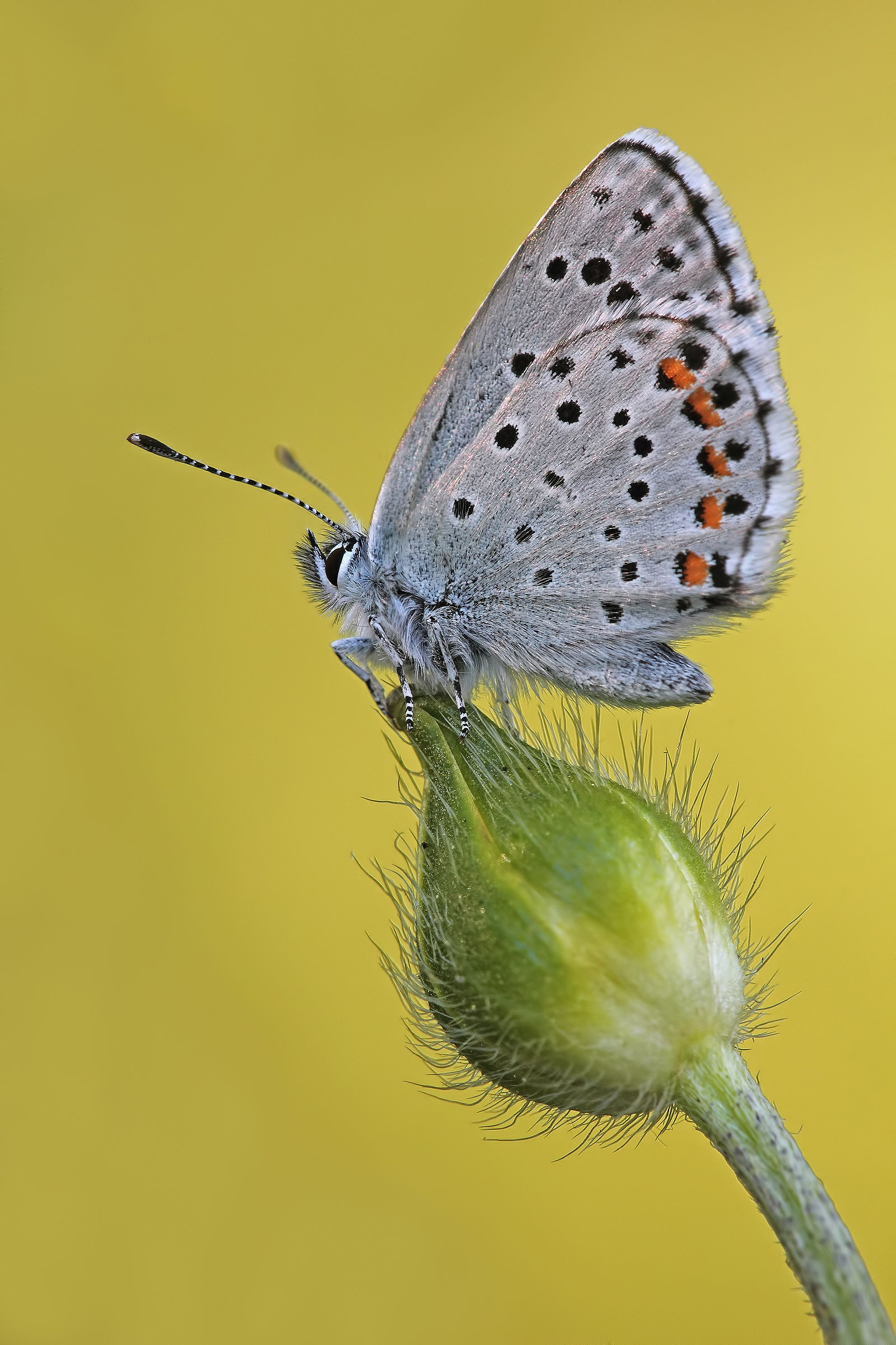 Kissed By The Sun !!!