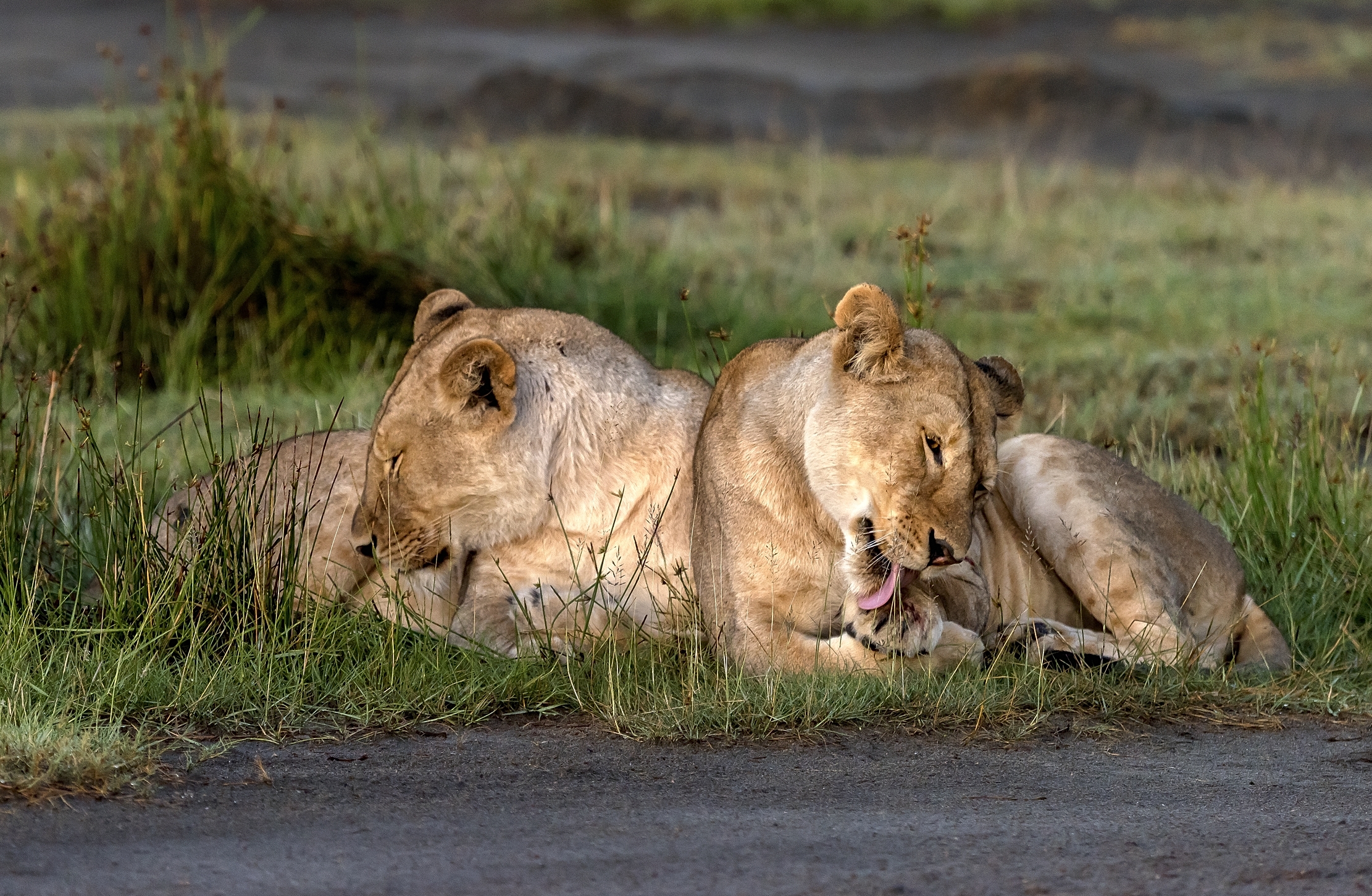 Tanzania 2016 - Sorelle