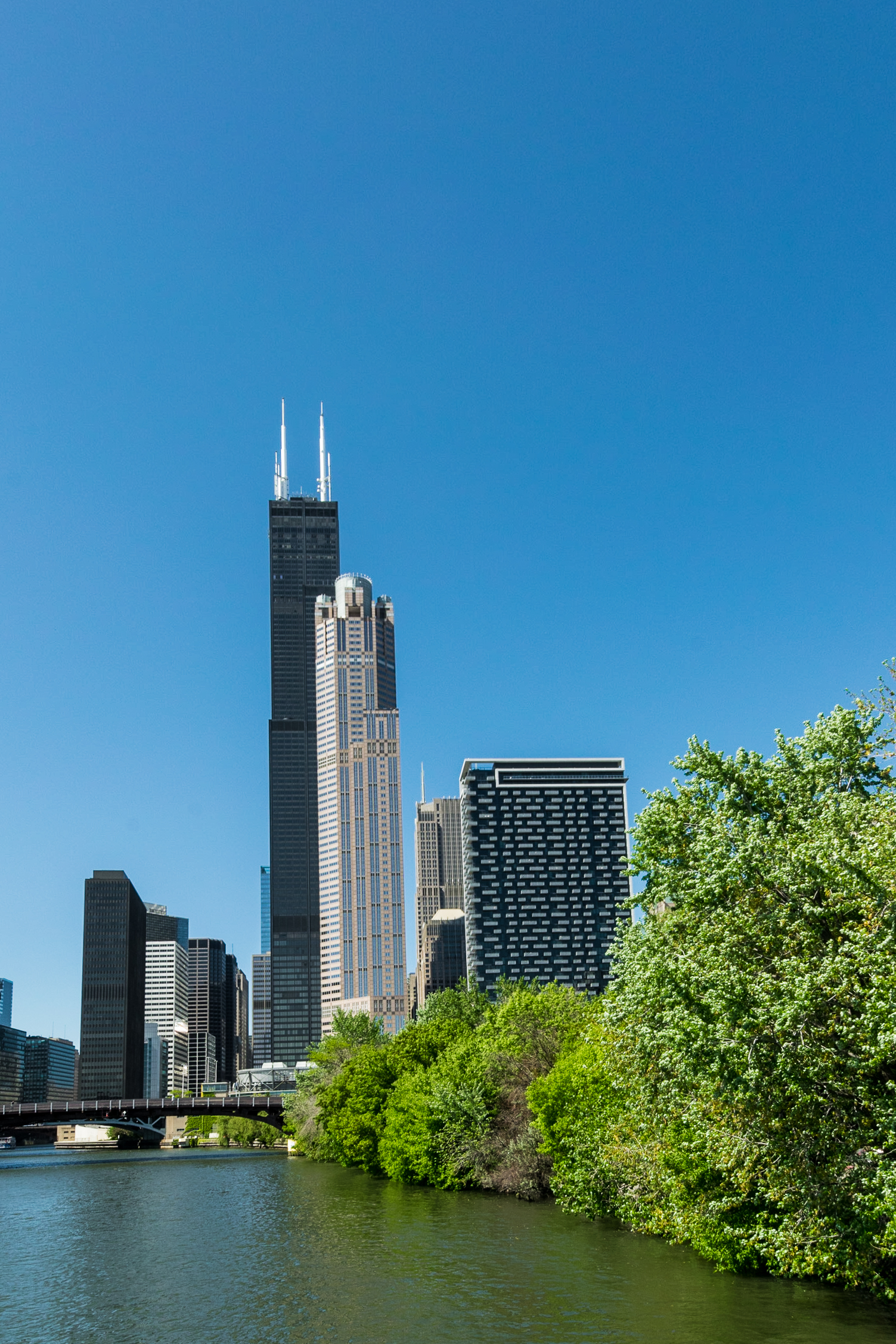 Vista dallo Chicago River