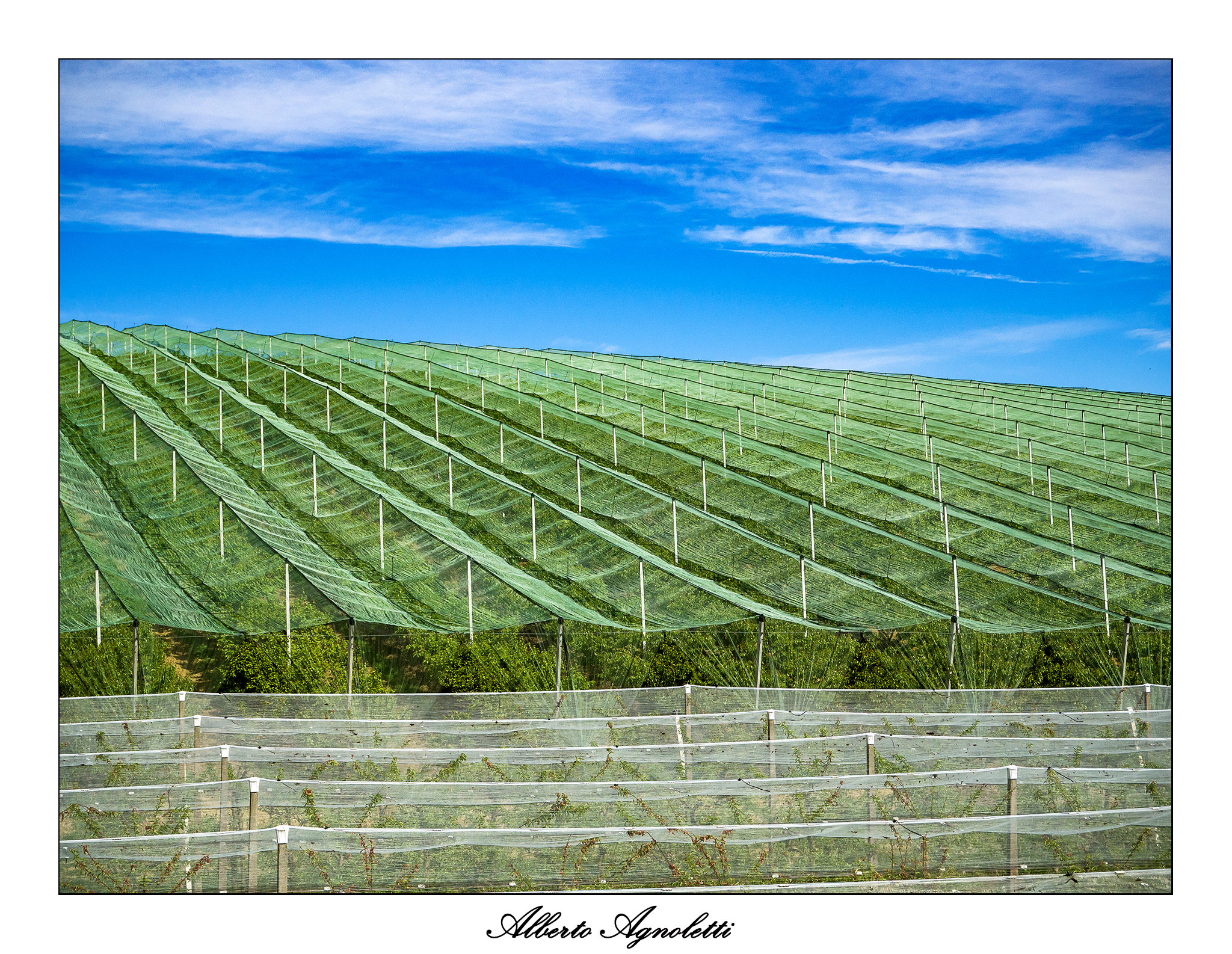 Contrasti di colore...