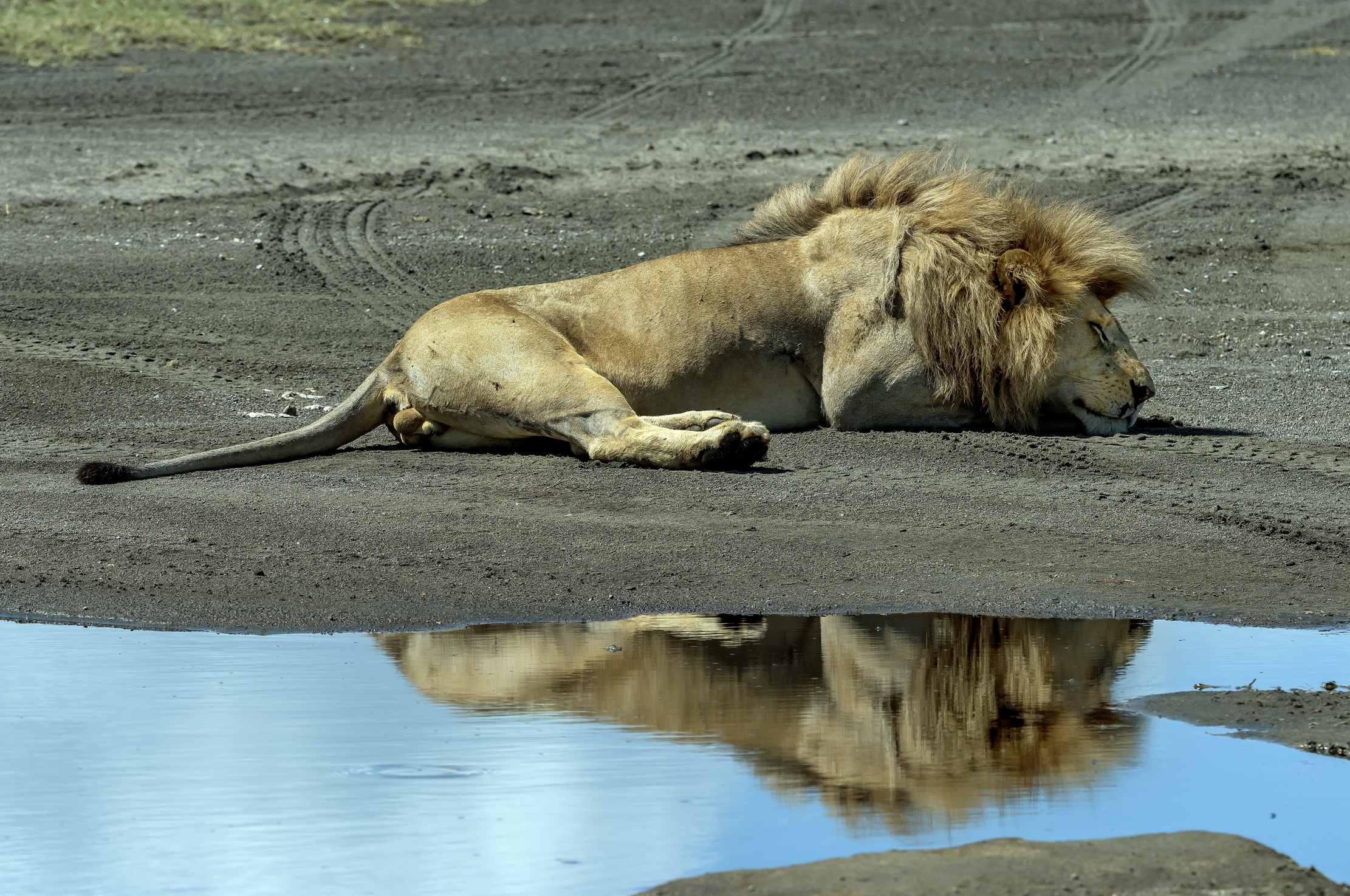 Tanzania 2016 - Al fresco