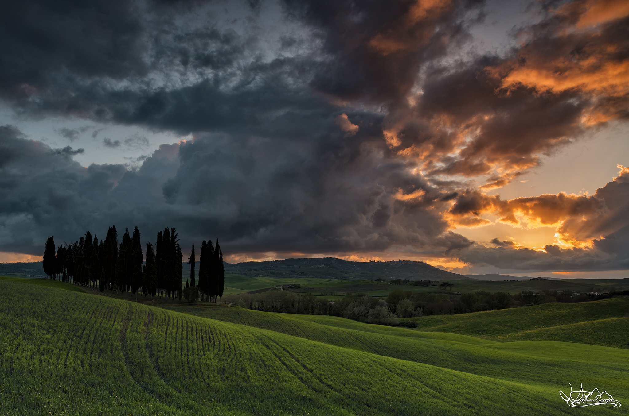 Cipressi al Tramonto