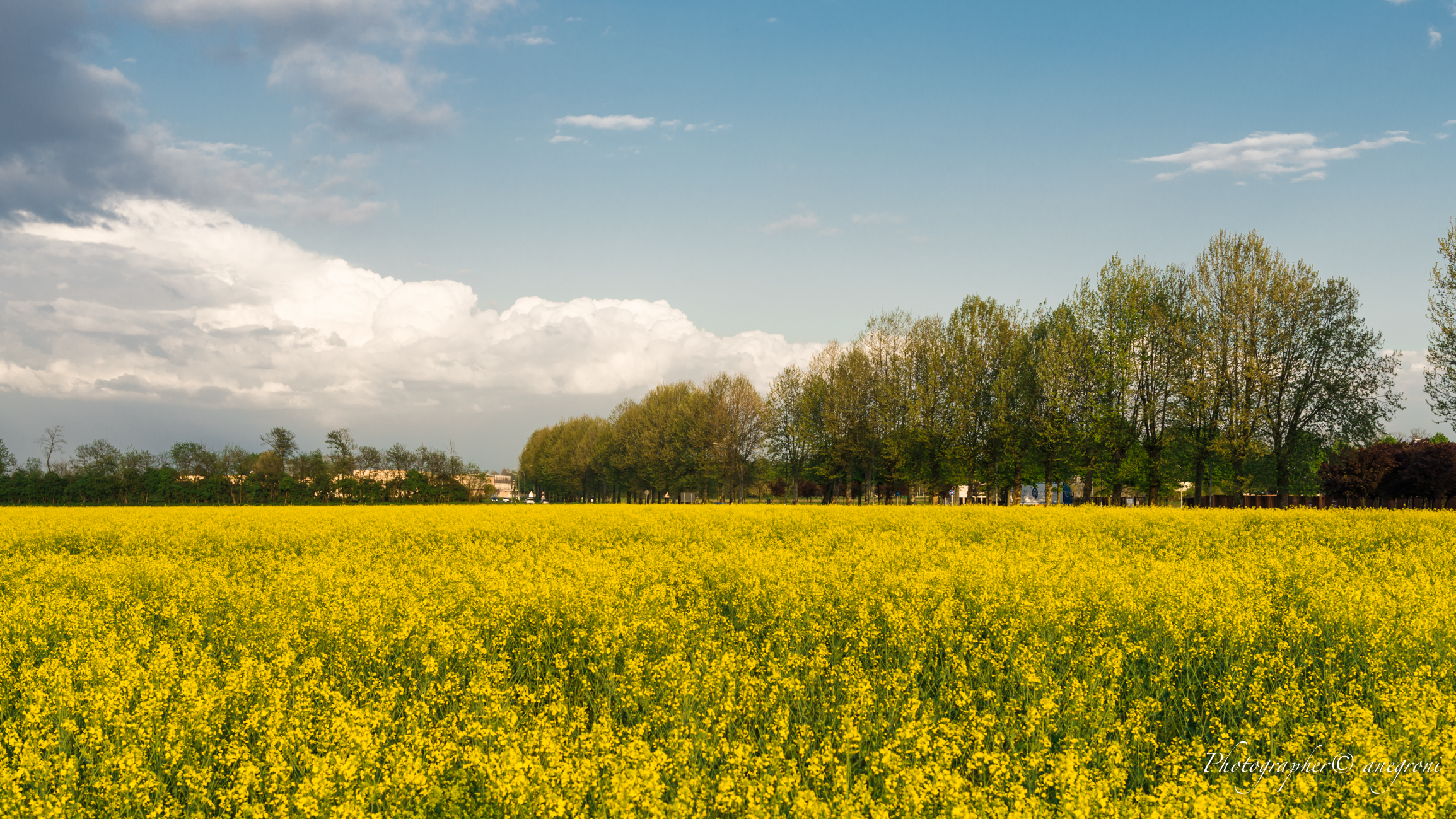 Santo Stefano Ticino fields