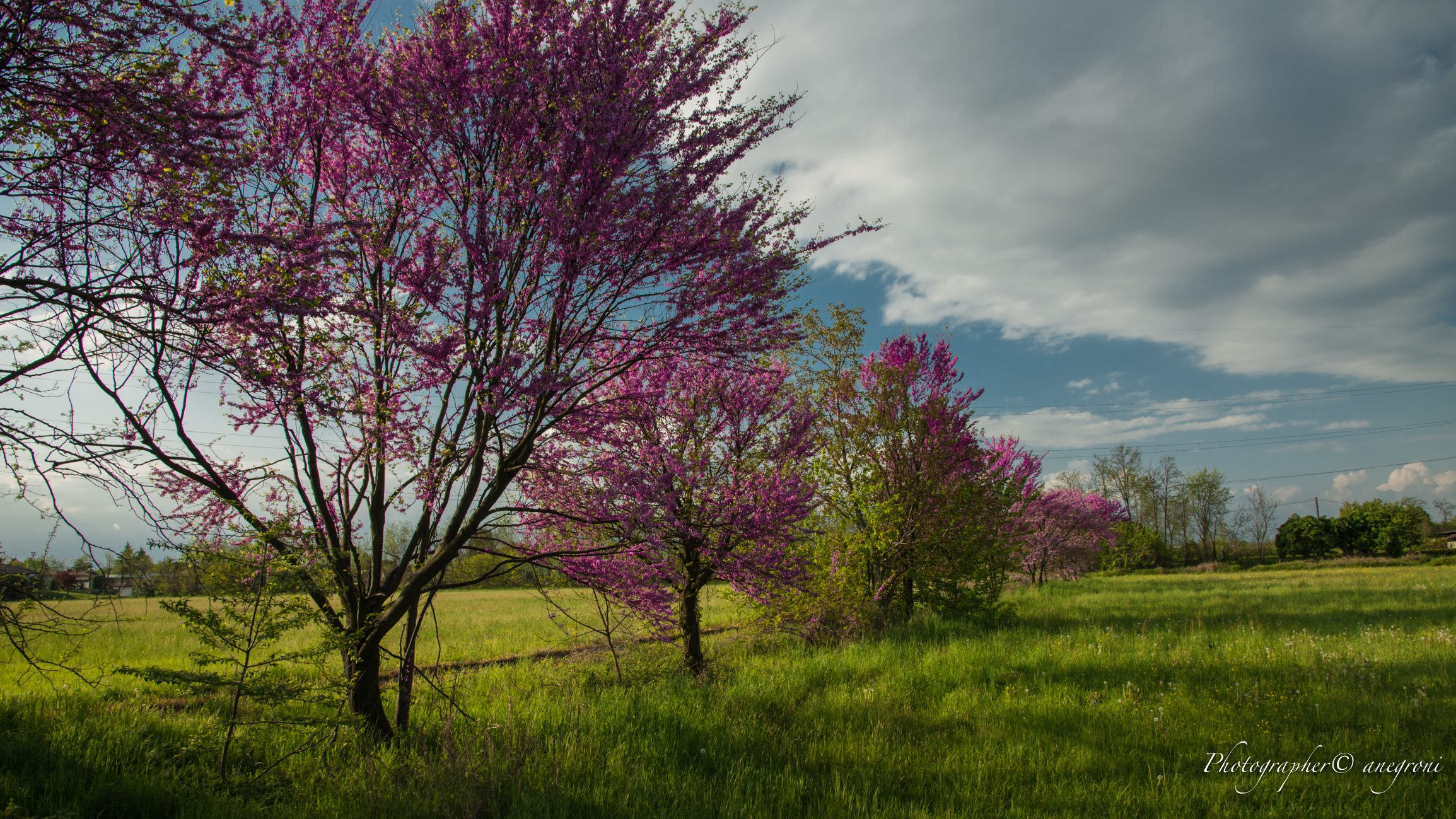 Scorci di Santo Stefano Ticino