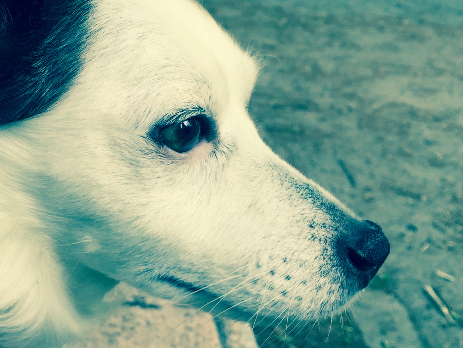 Tests with my new phone