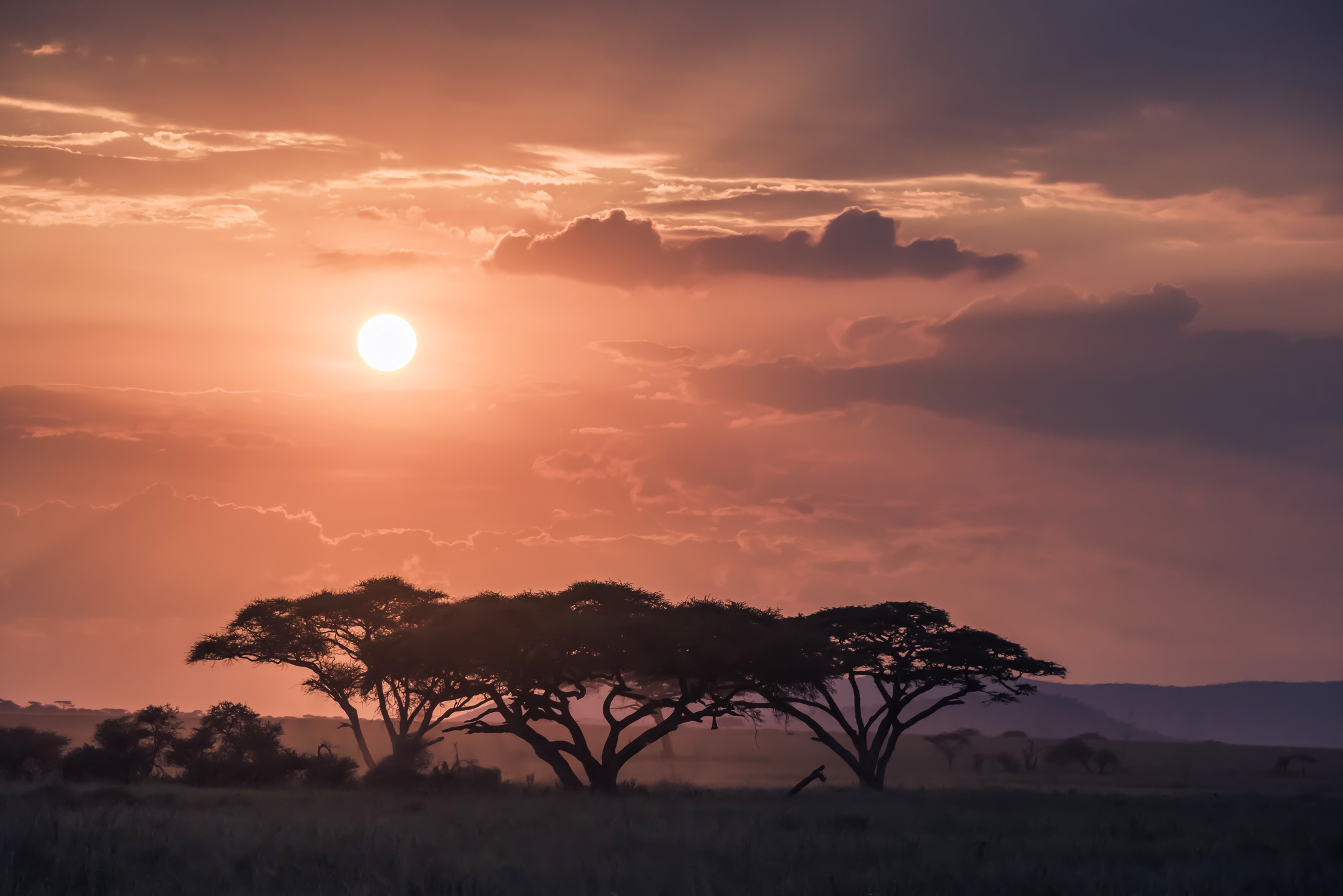 Tanzania 2016 - Tramonto sul Serengheti