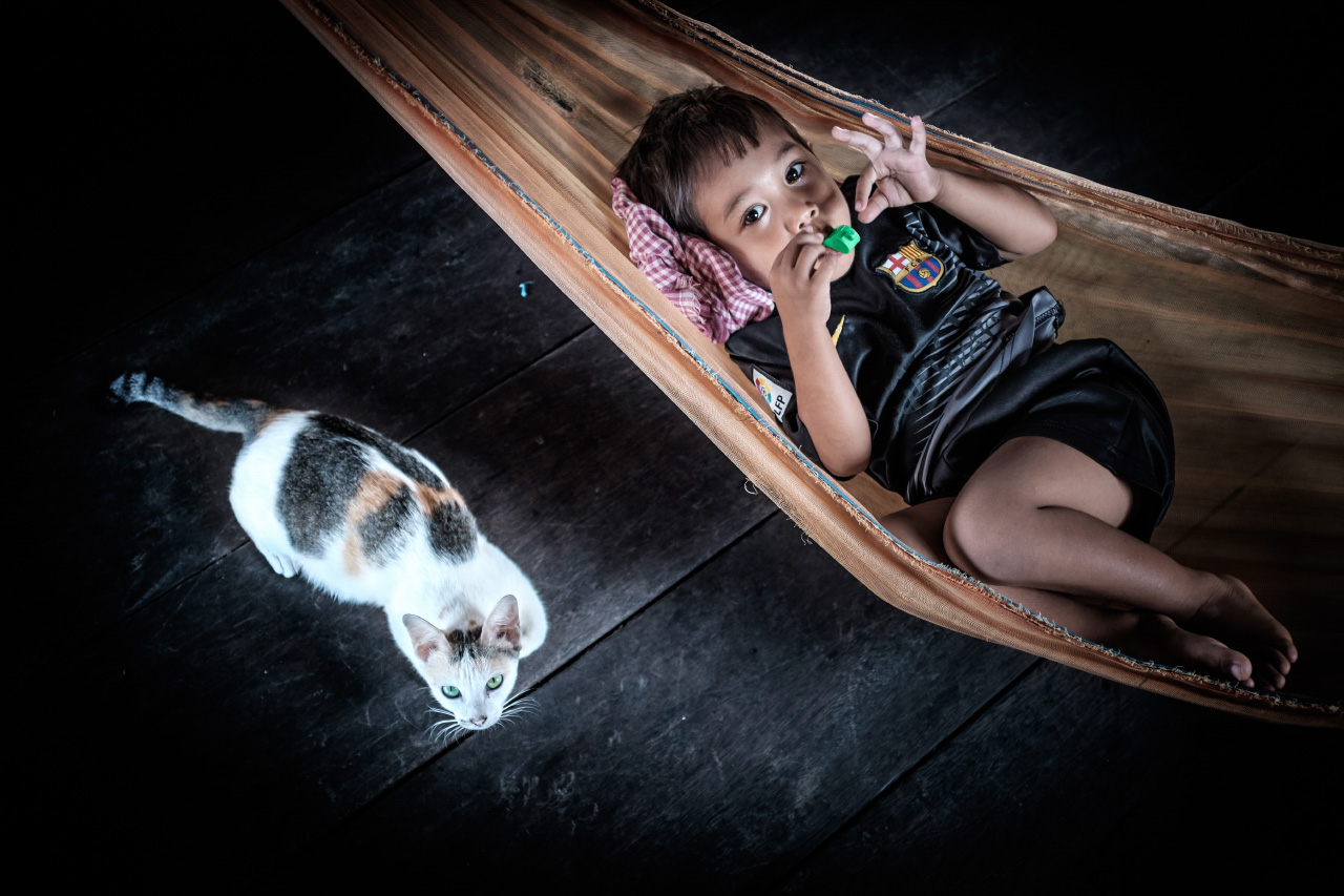 Tonle Sap lake, Cambodia