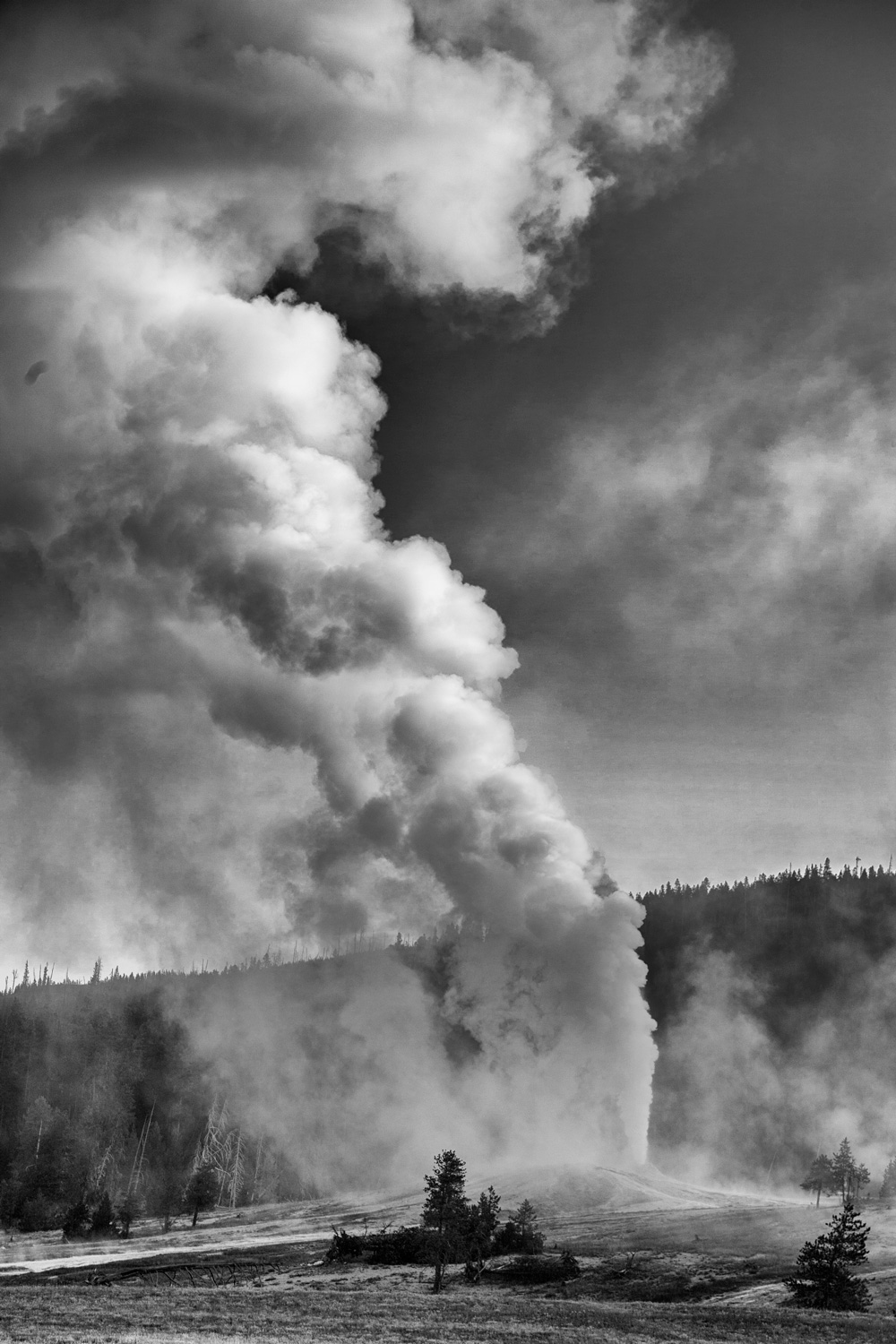 Yellowstone - Geyser