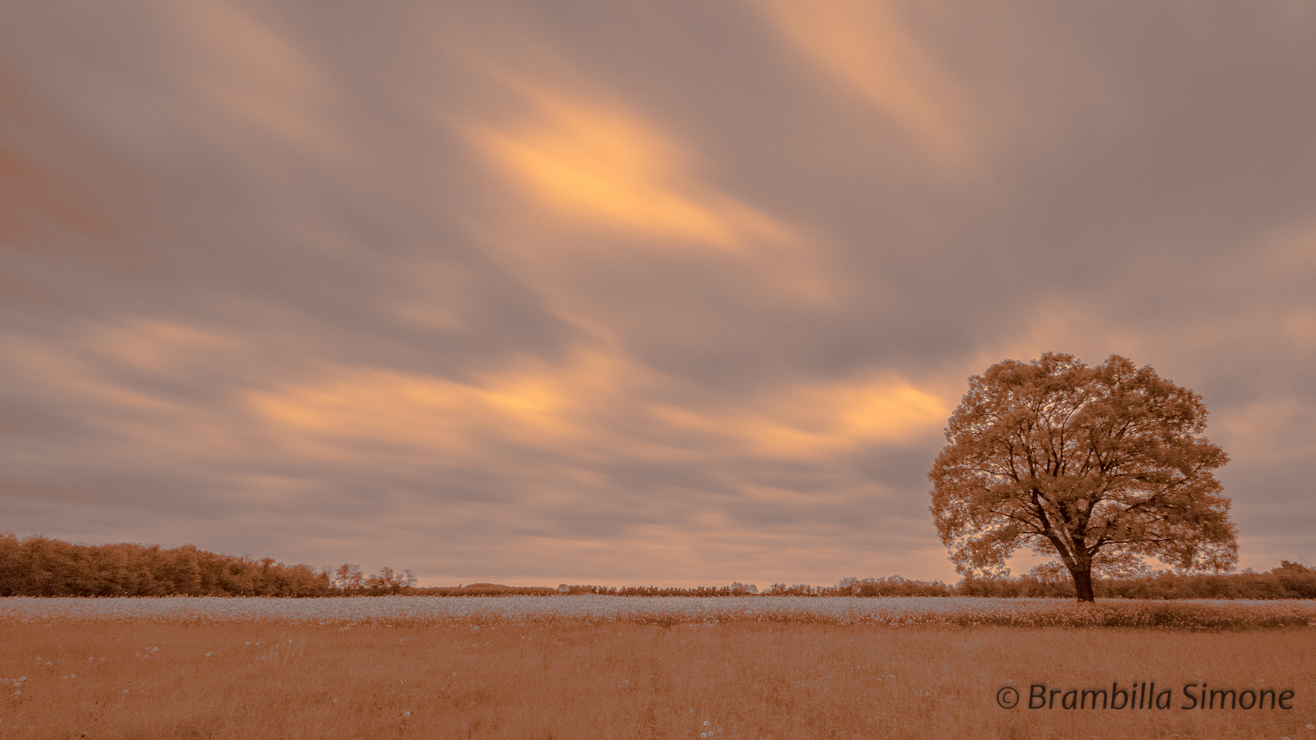 Infrarosso (17 Aprile 2016)