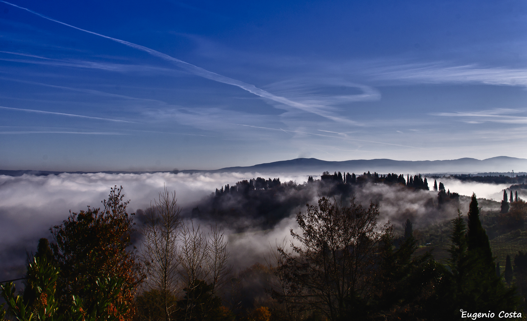 from San Gimignano (Siena)
