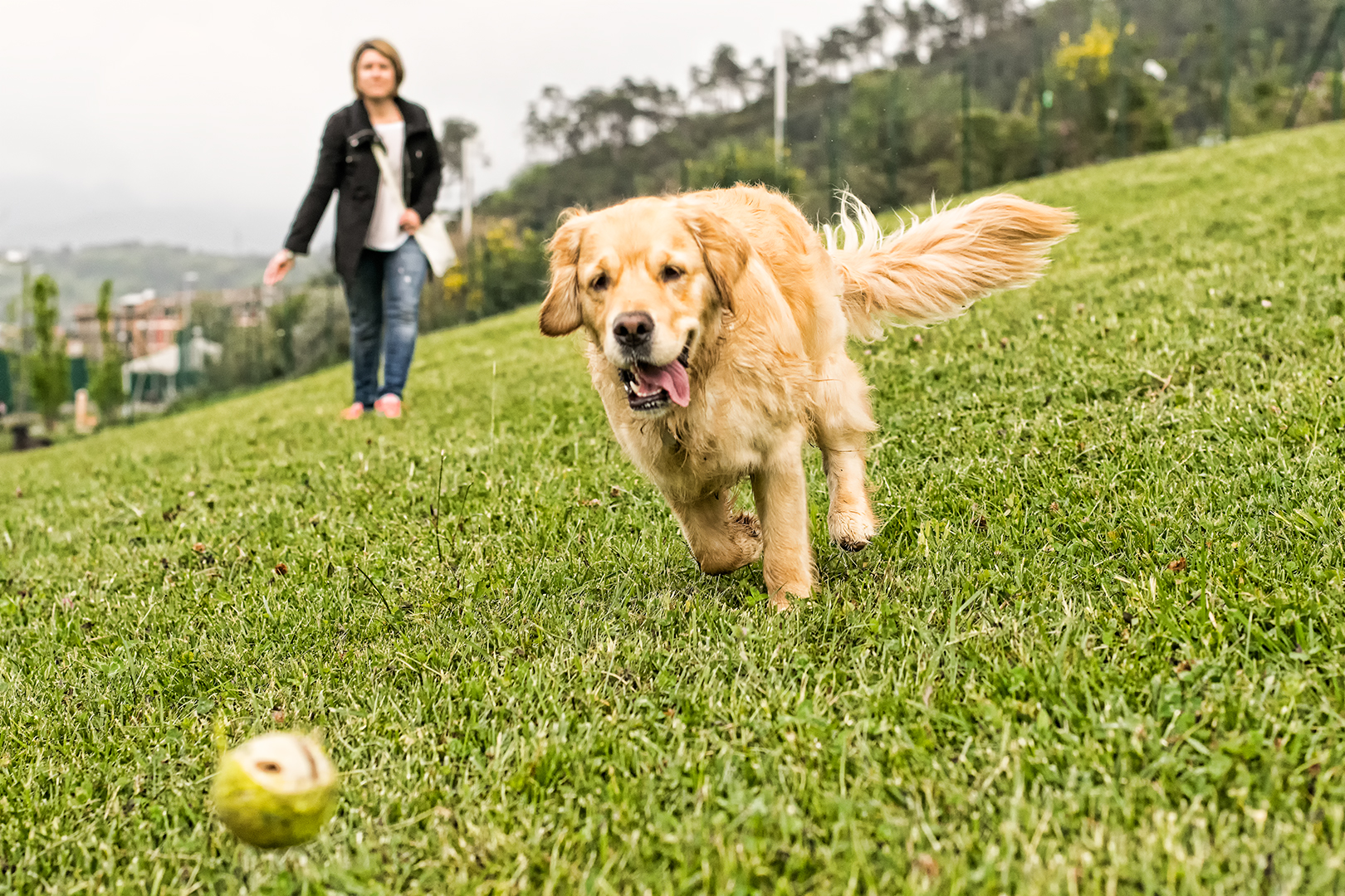 La Prendo! La Prendo!