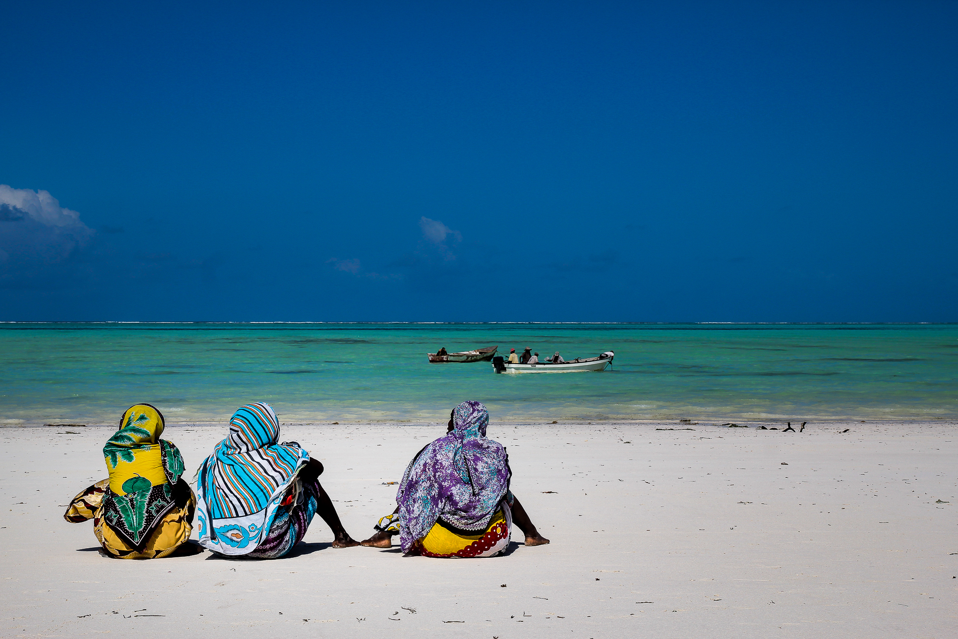 Looking to the Horizon