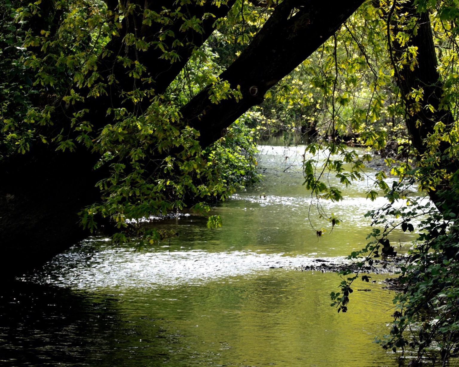 The silence broken with a click