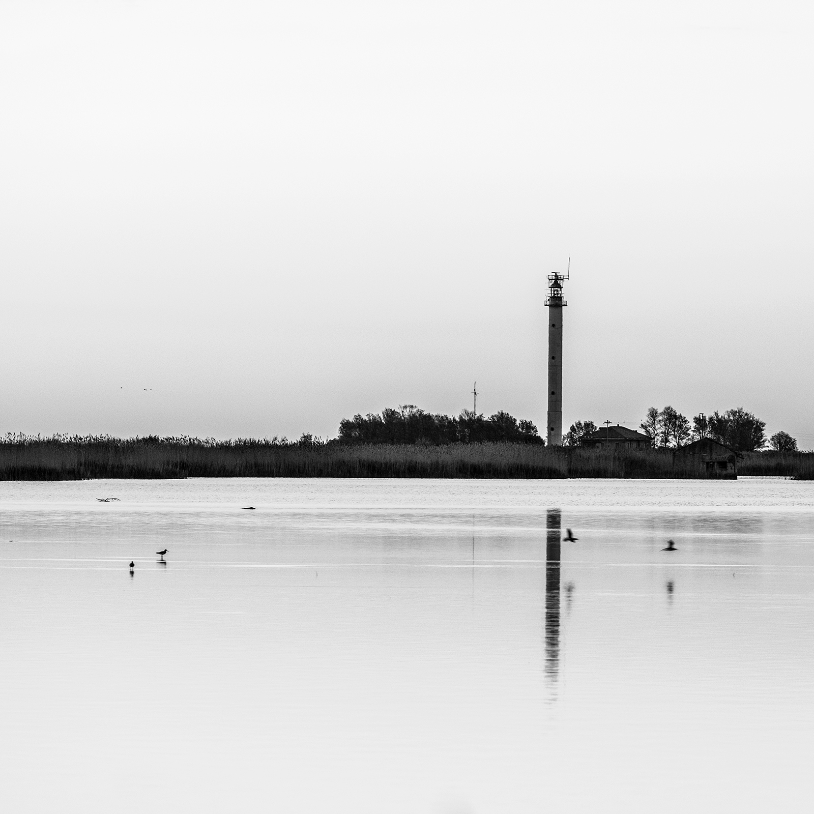 The lighthouse abandoned Pila