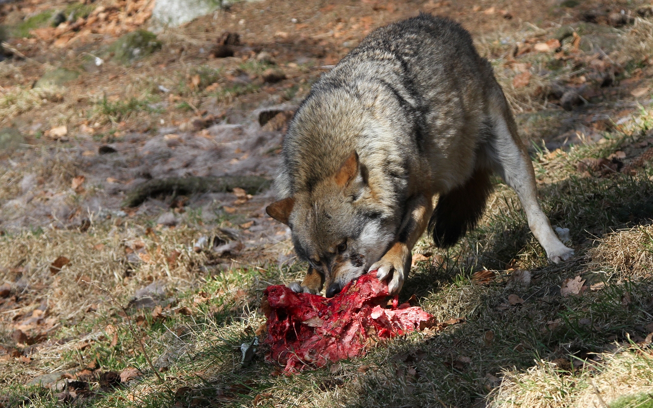 Finally it's my turn!