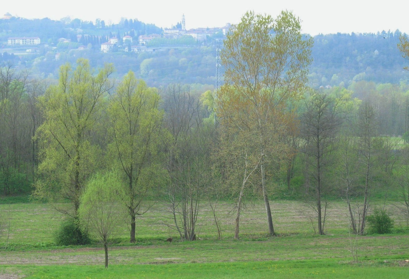 the awakening of nature