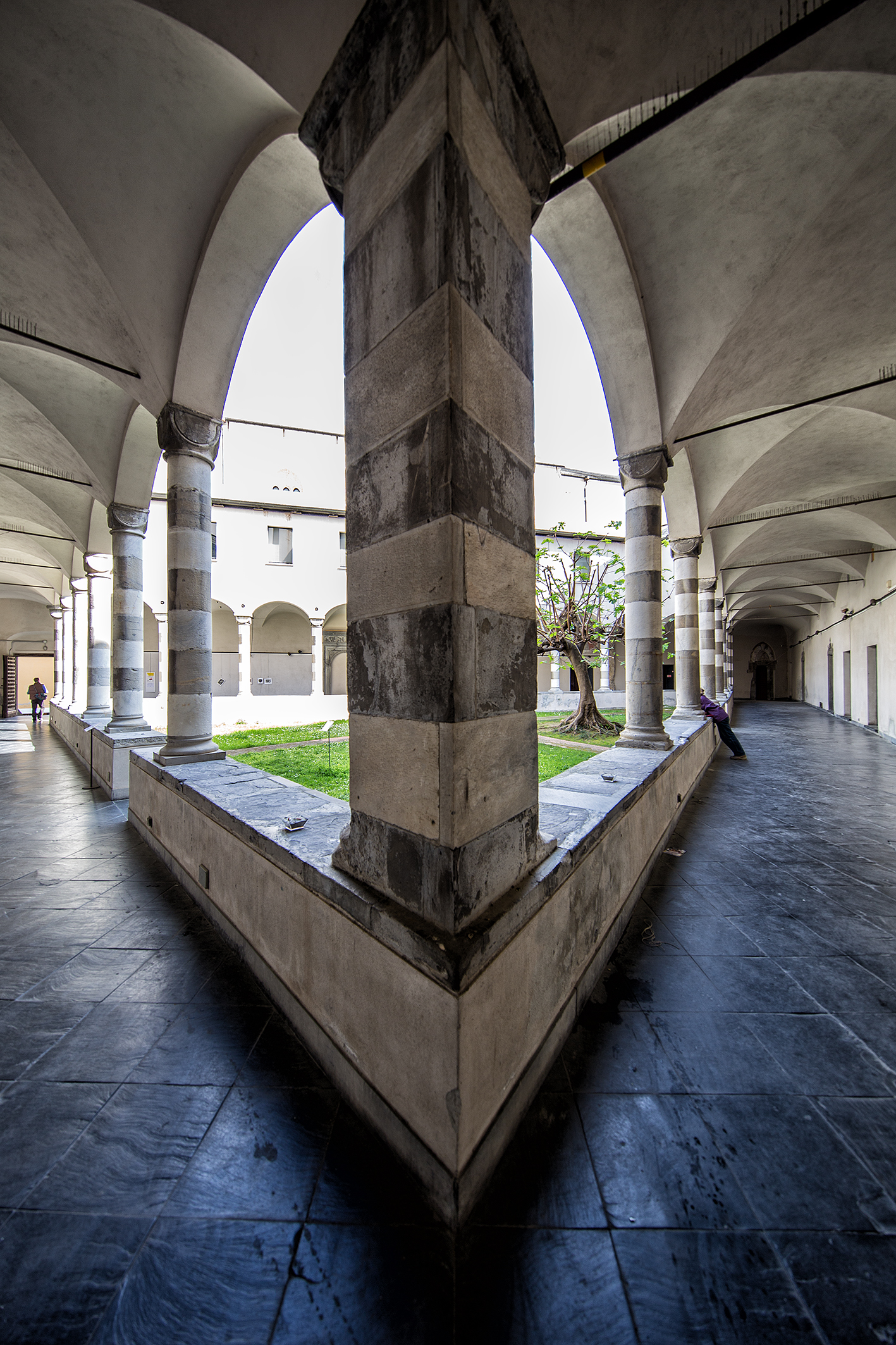 Ottusangolo o acutangolo ?