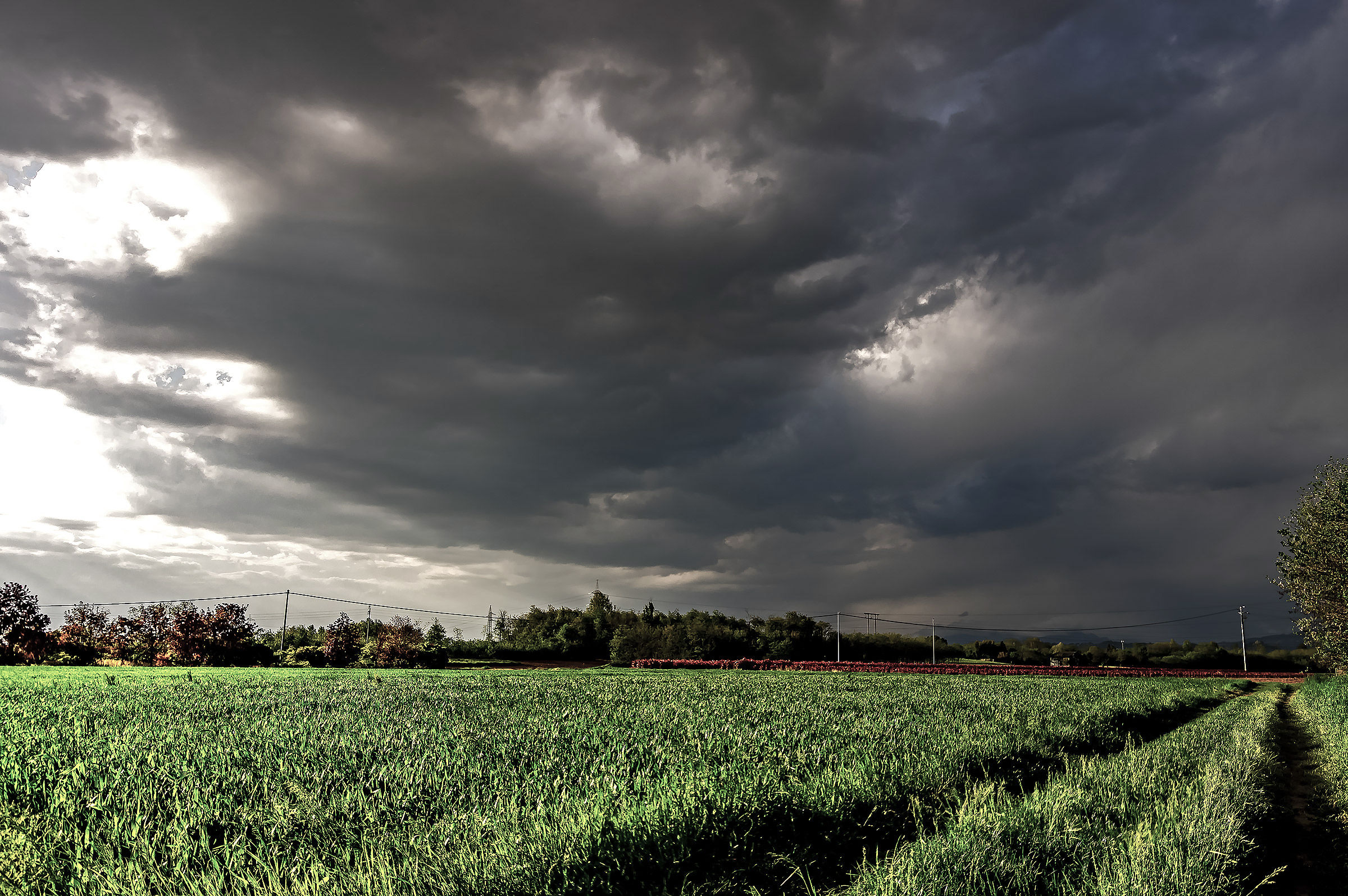The march of time on the fields Molgora