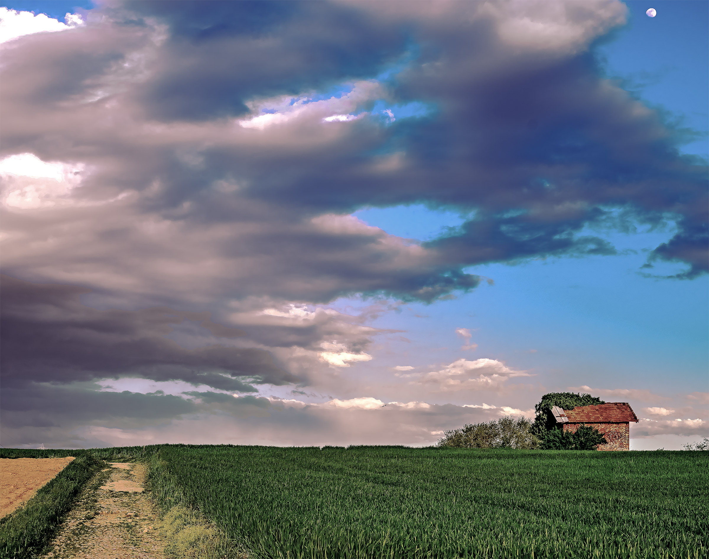 A path through the fields of the Molgora Park