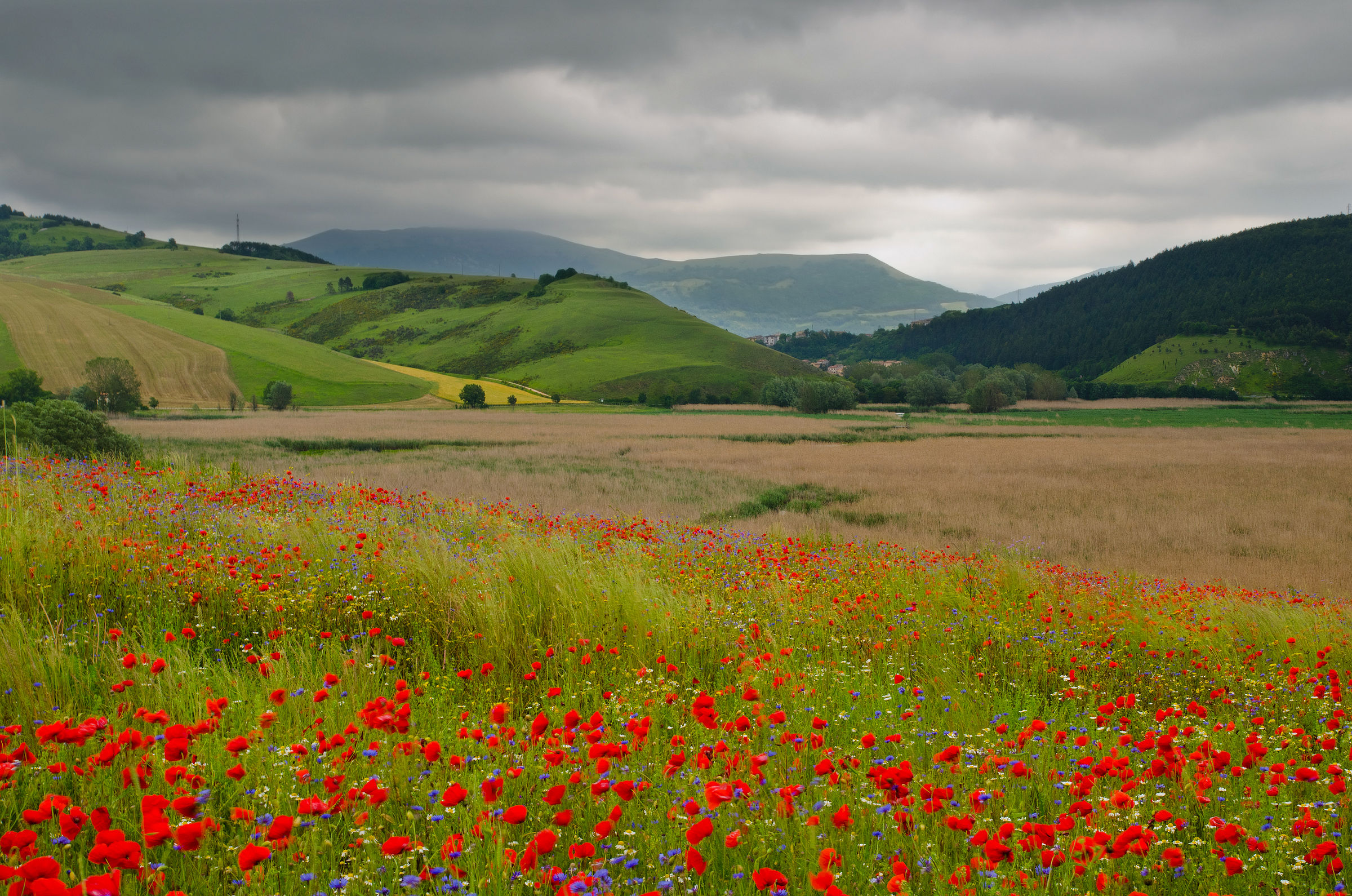 Altopiano di Colfiorito