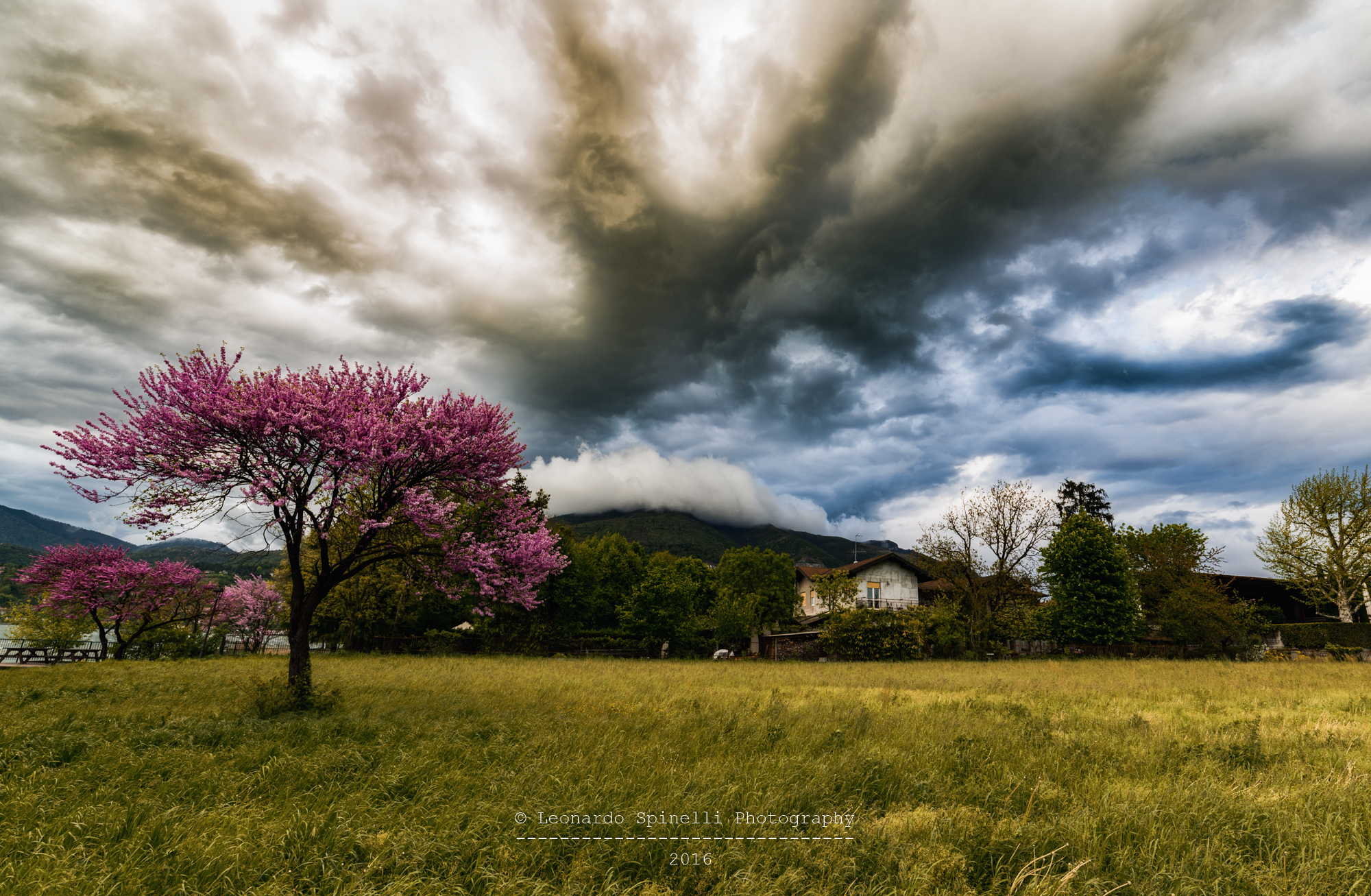 la bella y la bestia