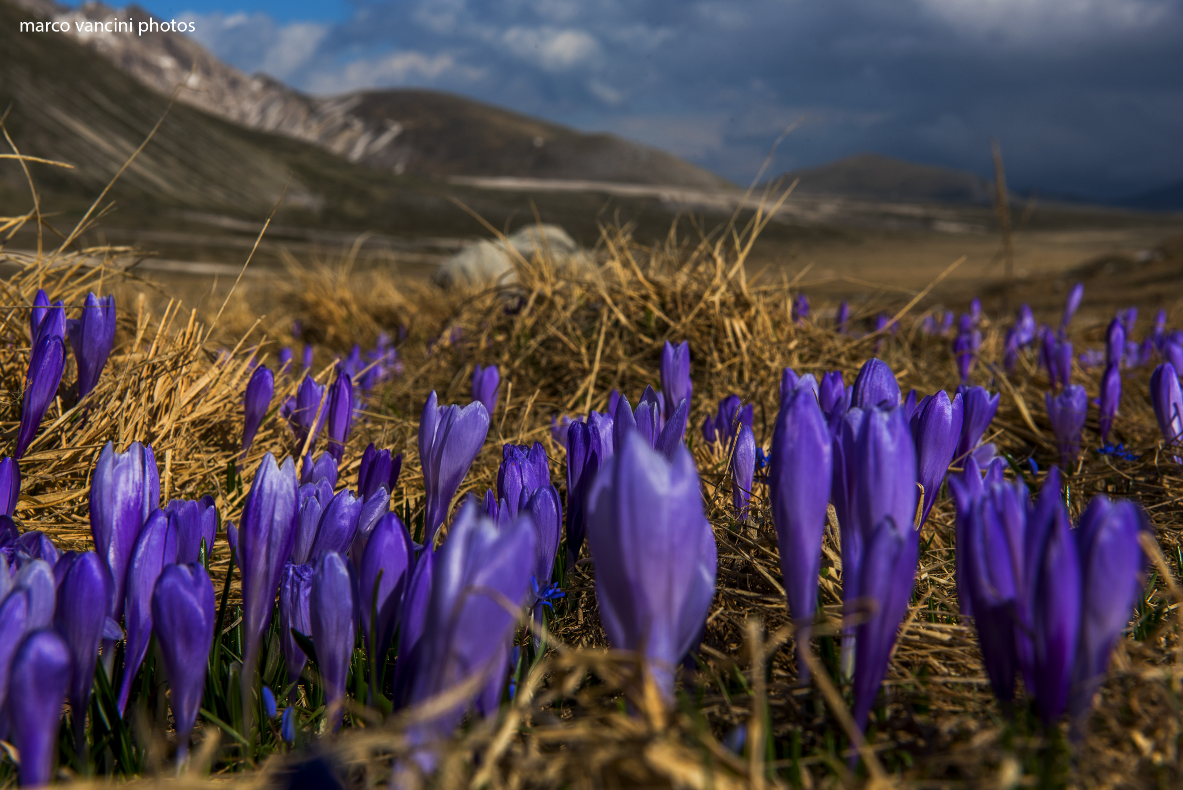 primavera sul Gran SAsso