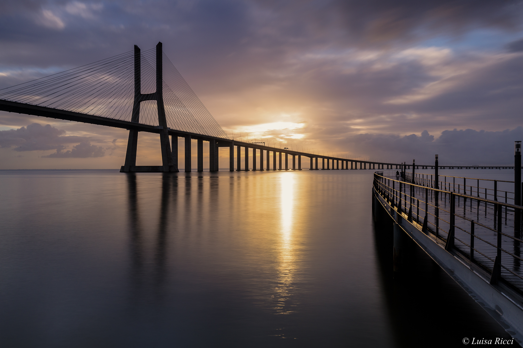 Vasco da Gama Bridge