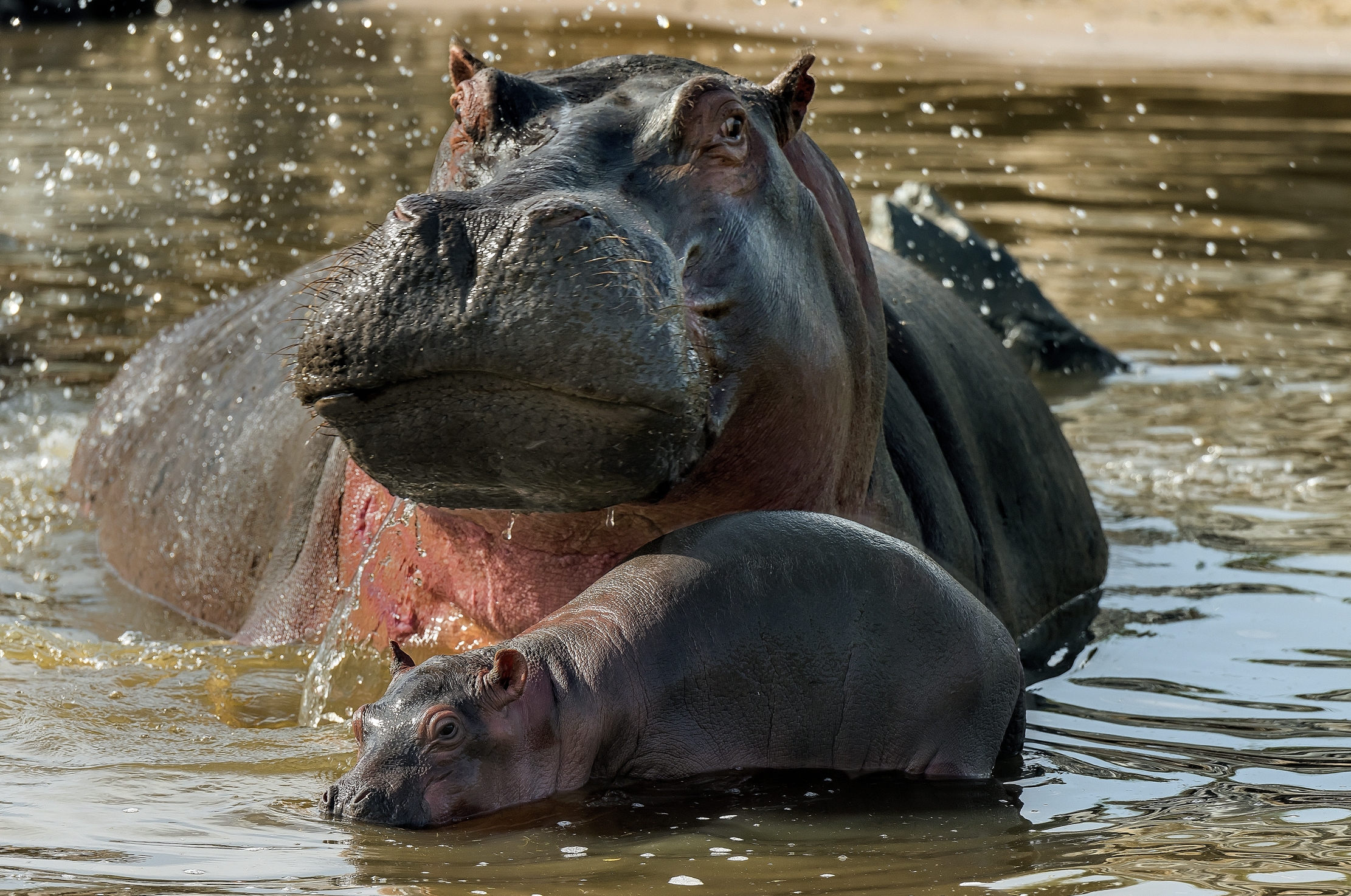 Tanzania 2016 -Protezione materna