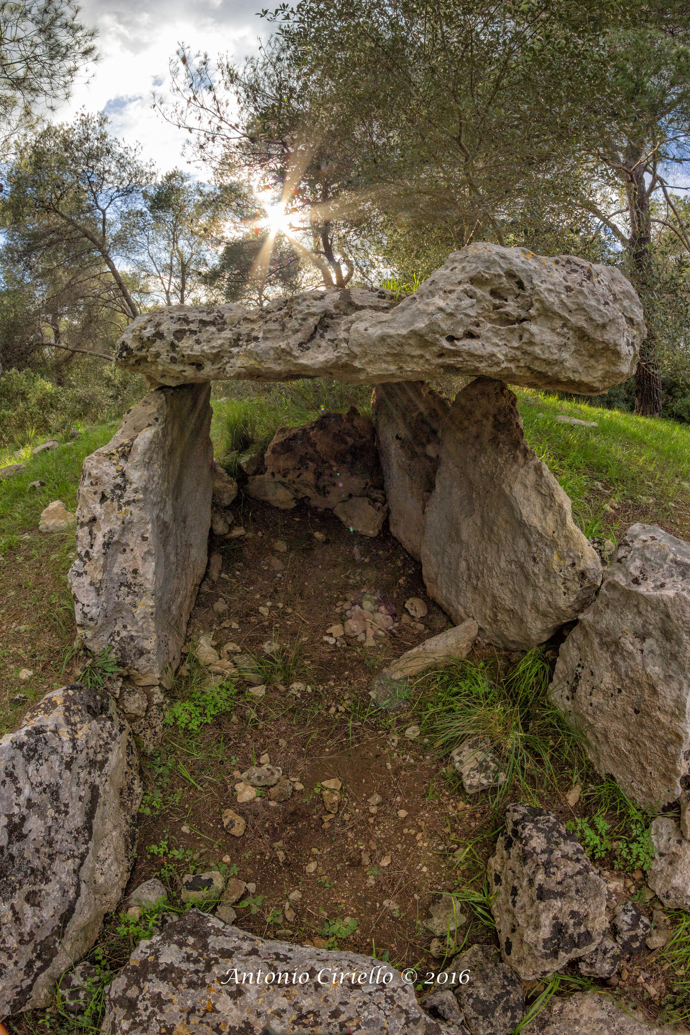 il tempo... (verticale)
