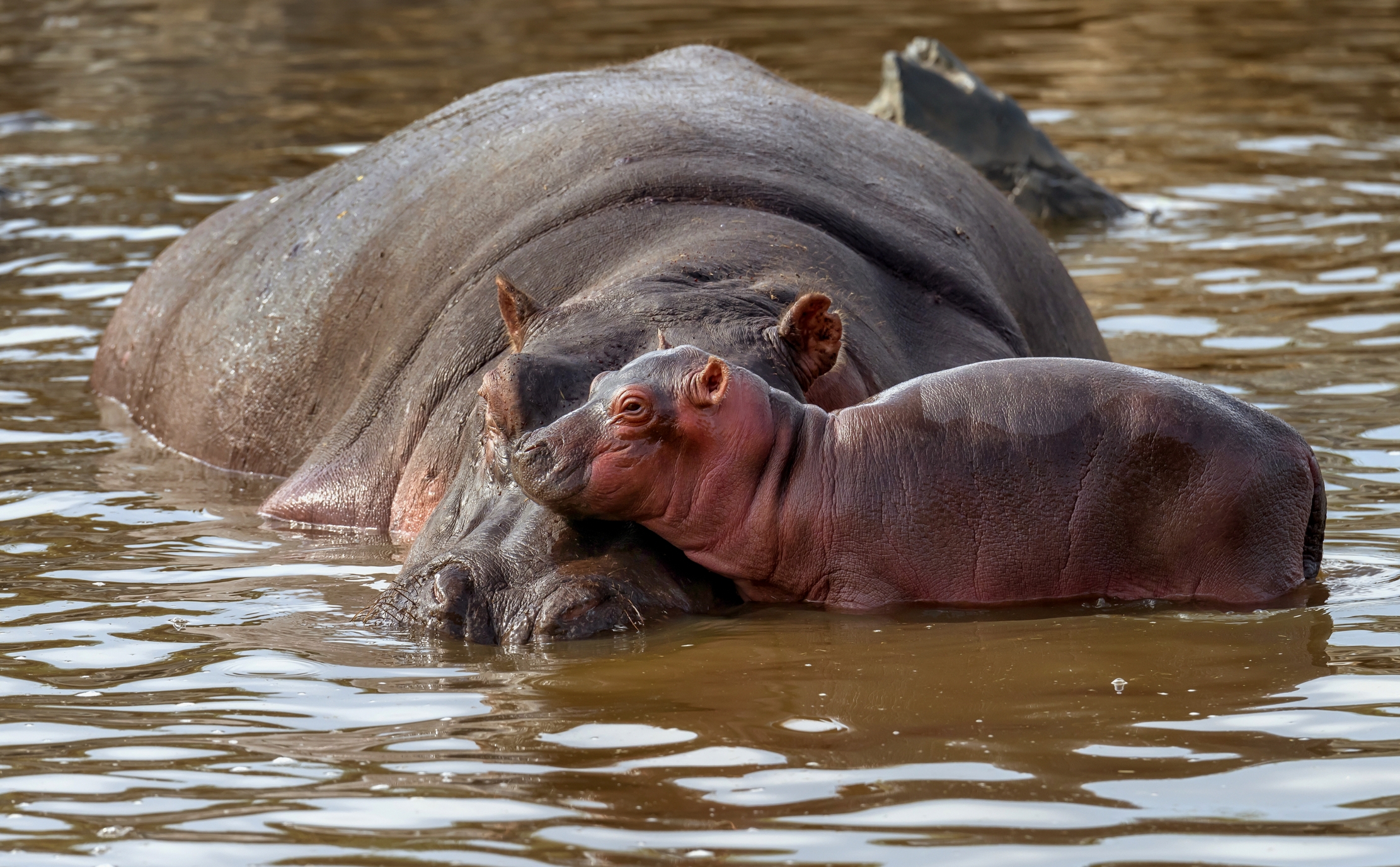 Tanzania 2016 - Affetto