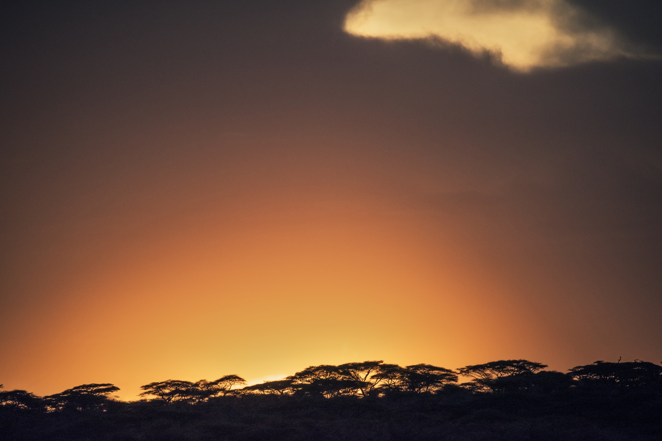 Tanzania 2016 -  Un'altra alba