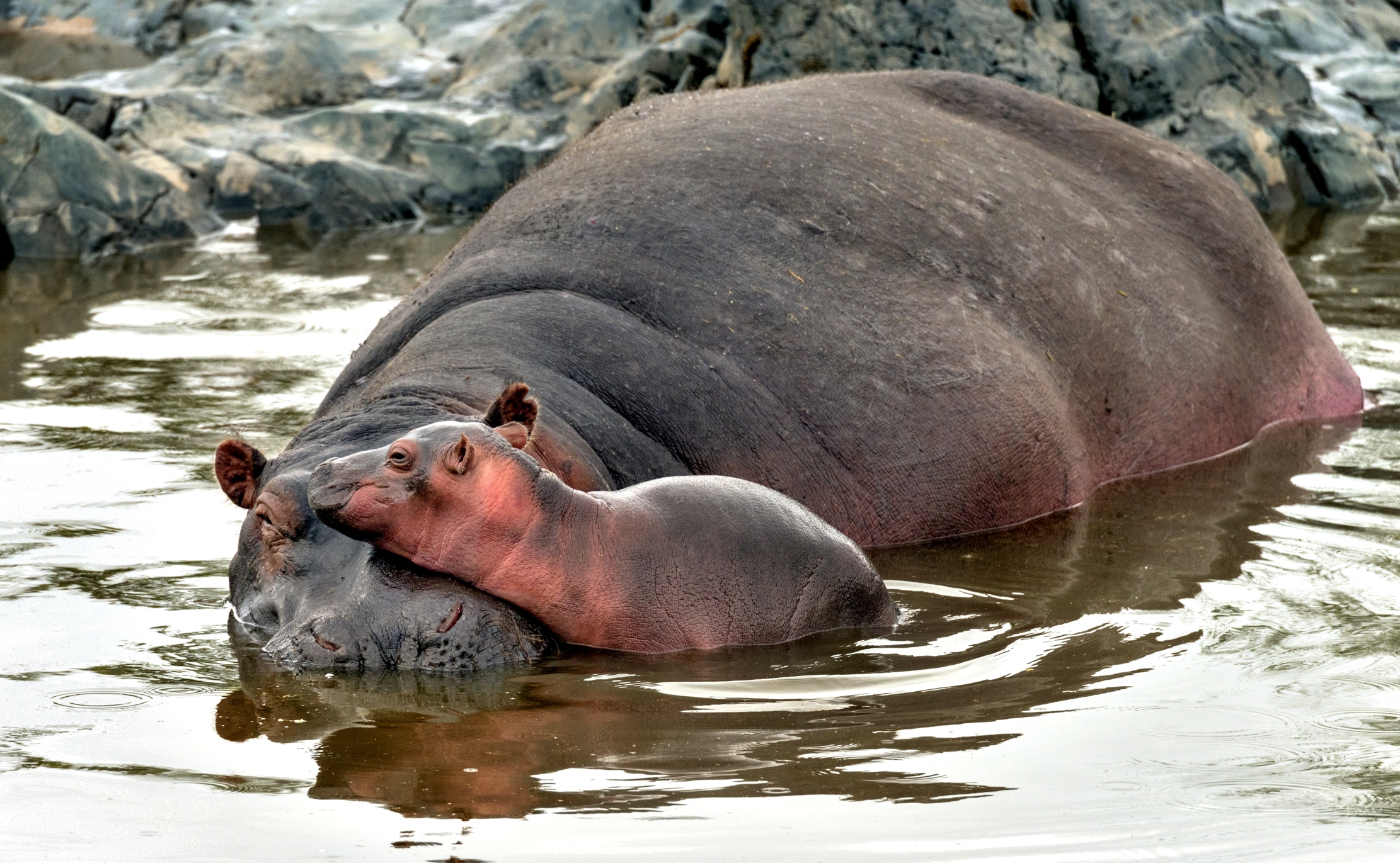 Tanzania 2016 - Ma quanto è piccolo