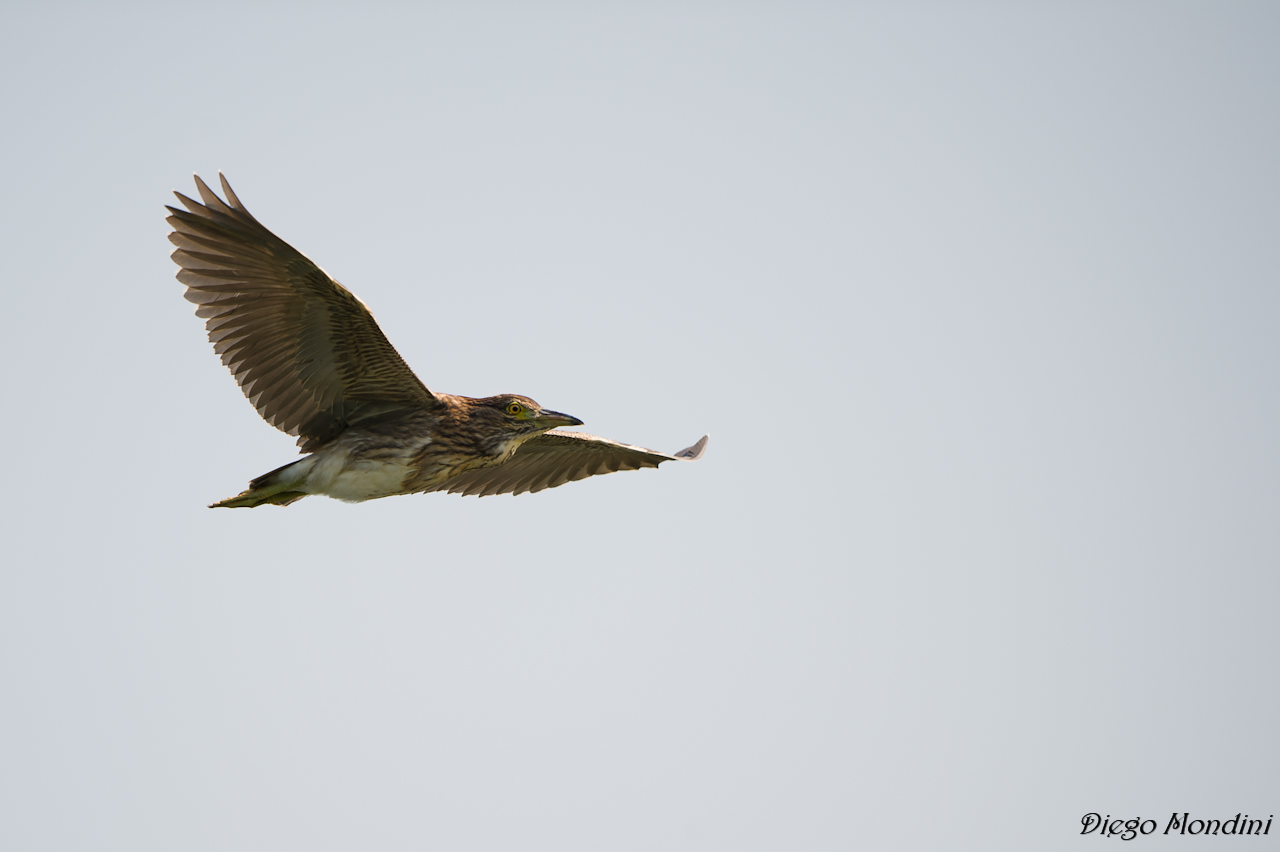 young and beautiful :)