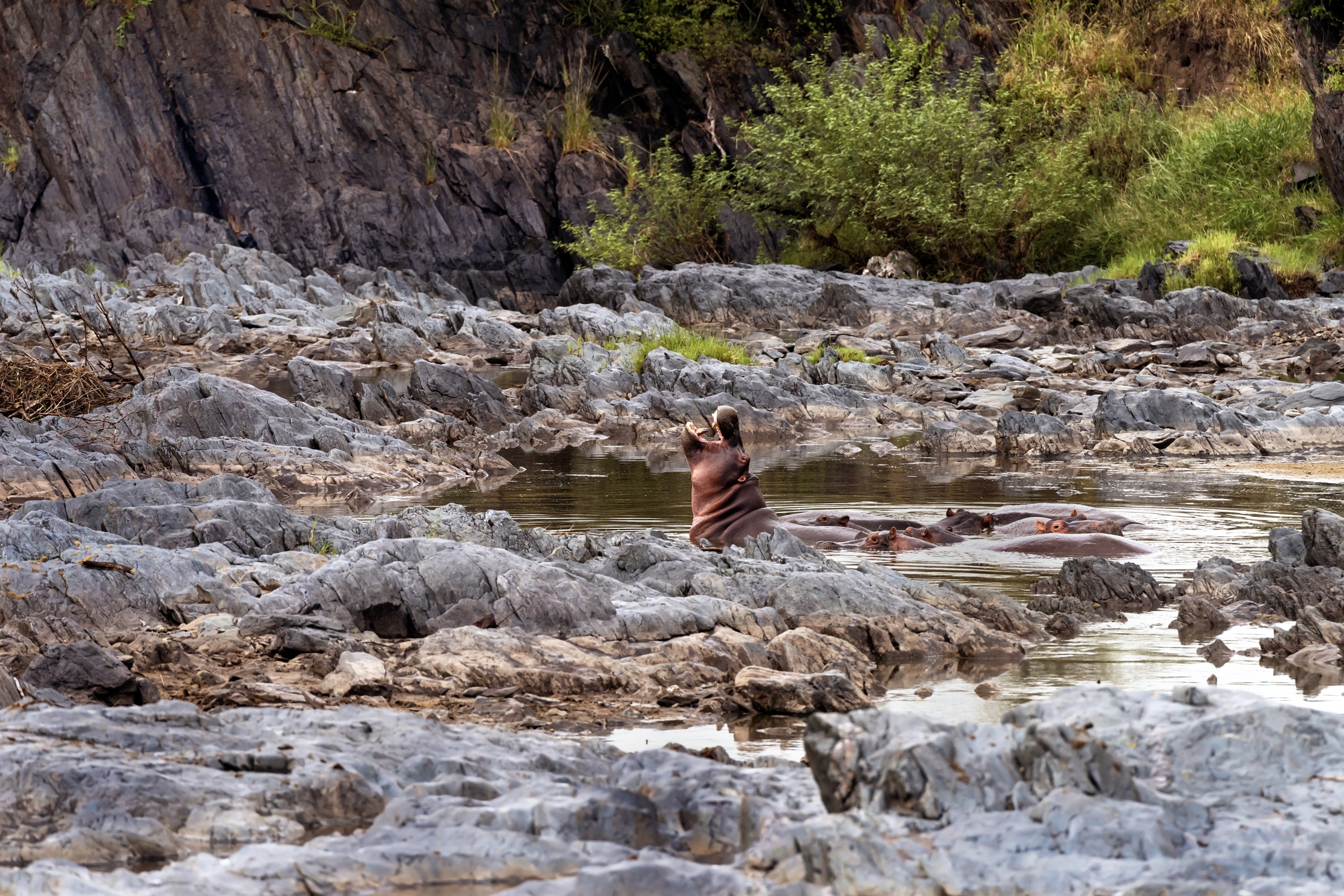 Tanzania 2016 - Ippo