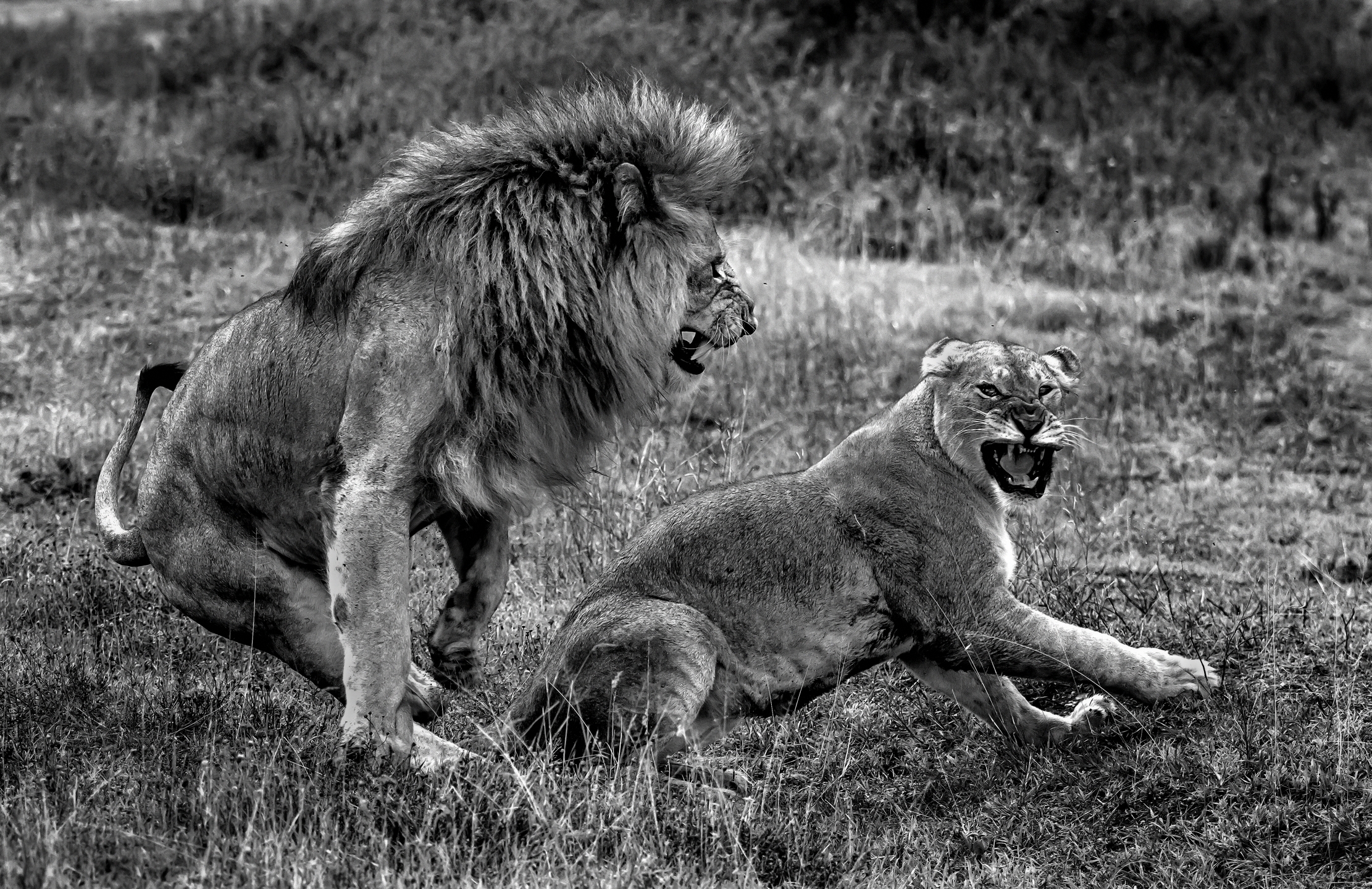 Tanzania 2016 - B&W