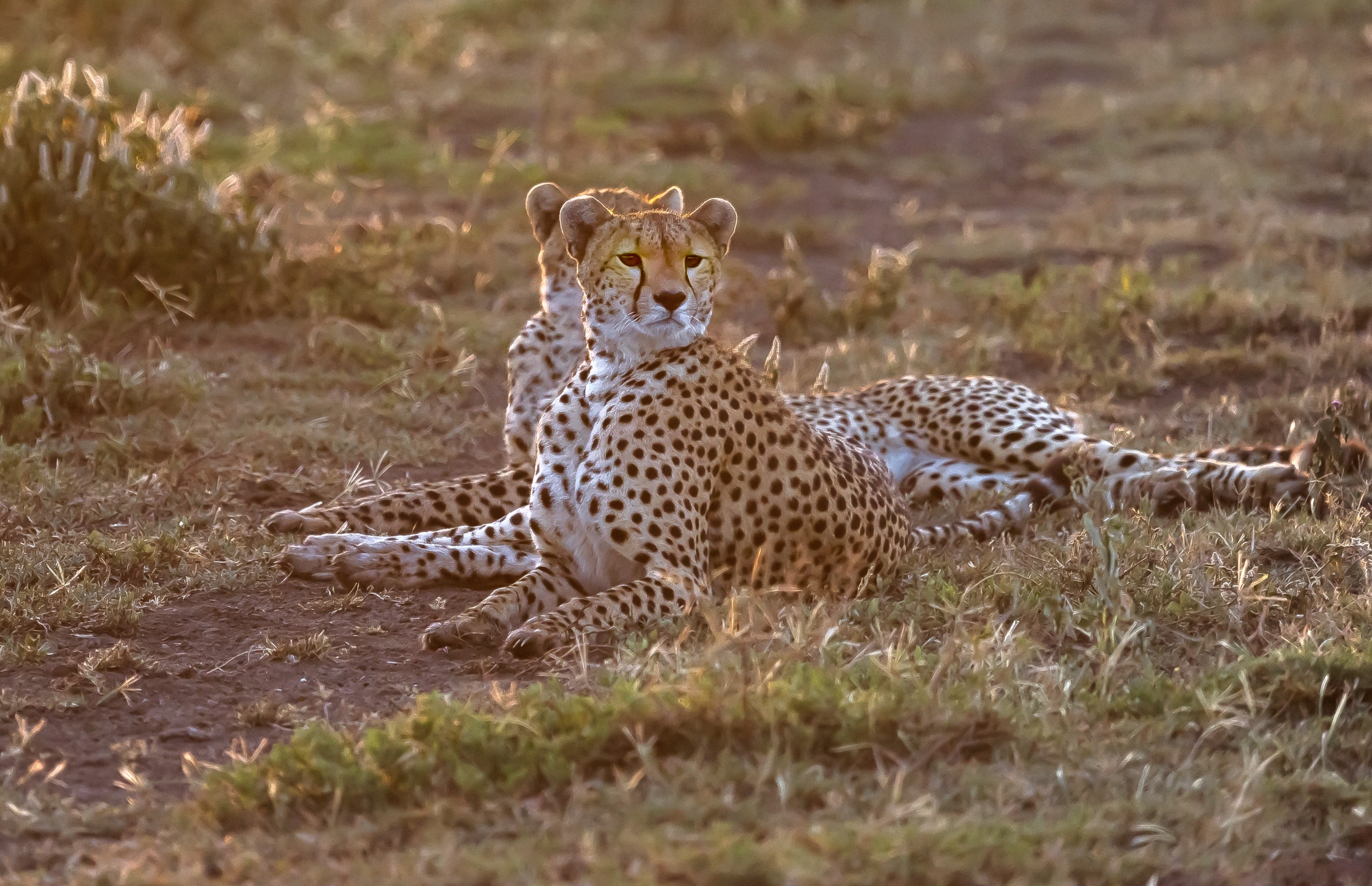 Tanzania 2016 - All'alba