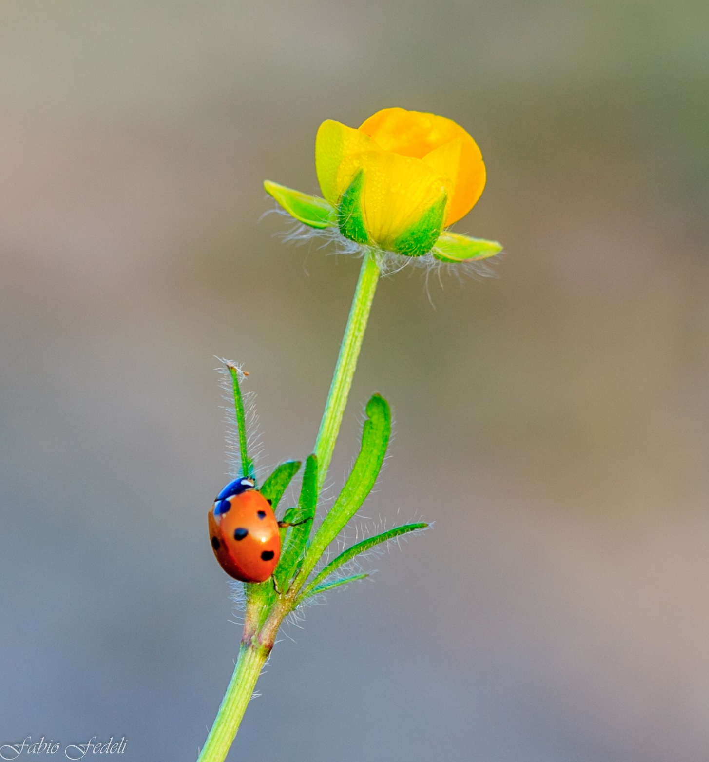 What an effort the climb