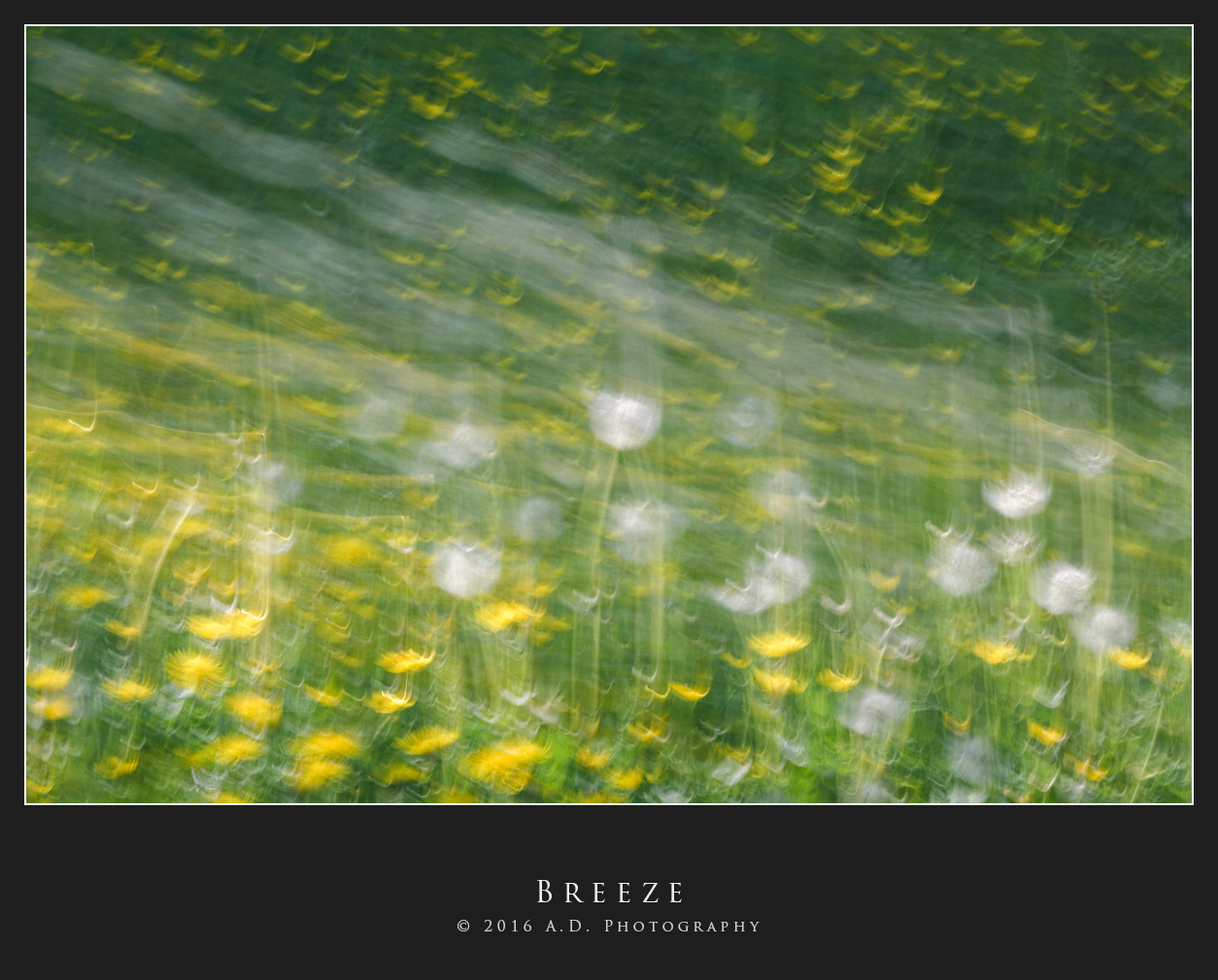 Breeze