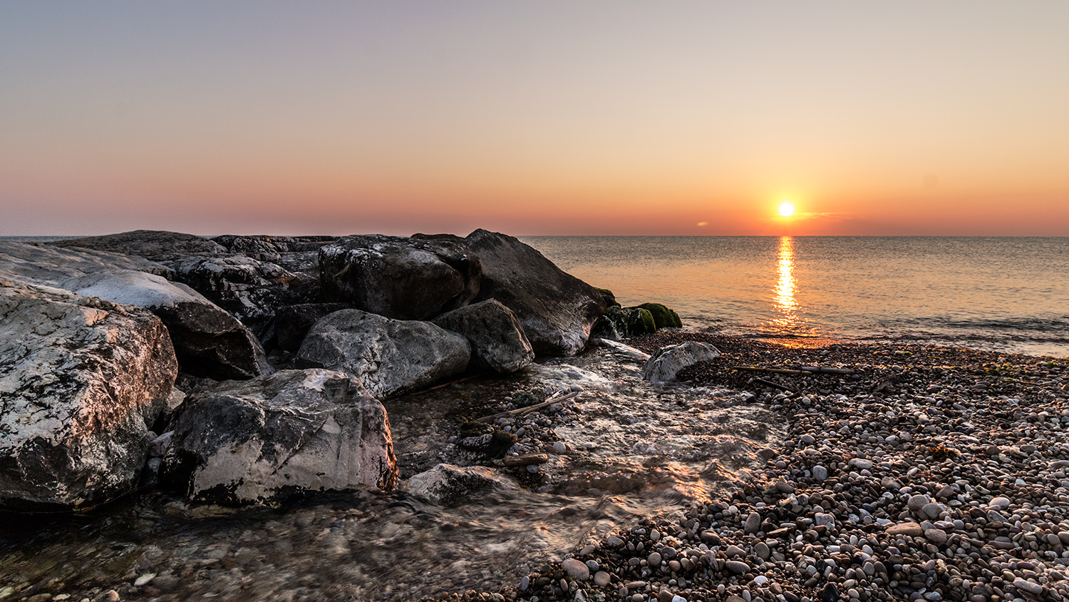 Il brodo primordiale ?