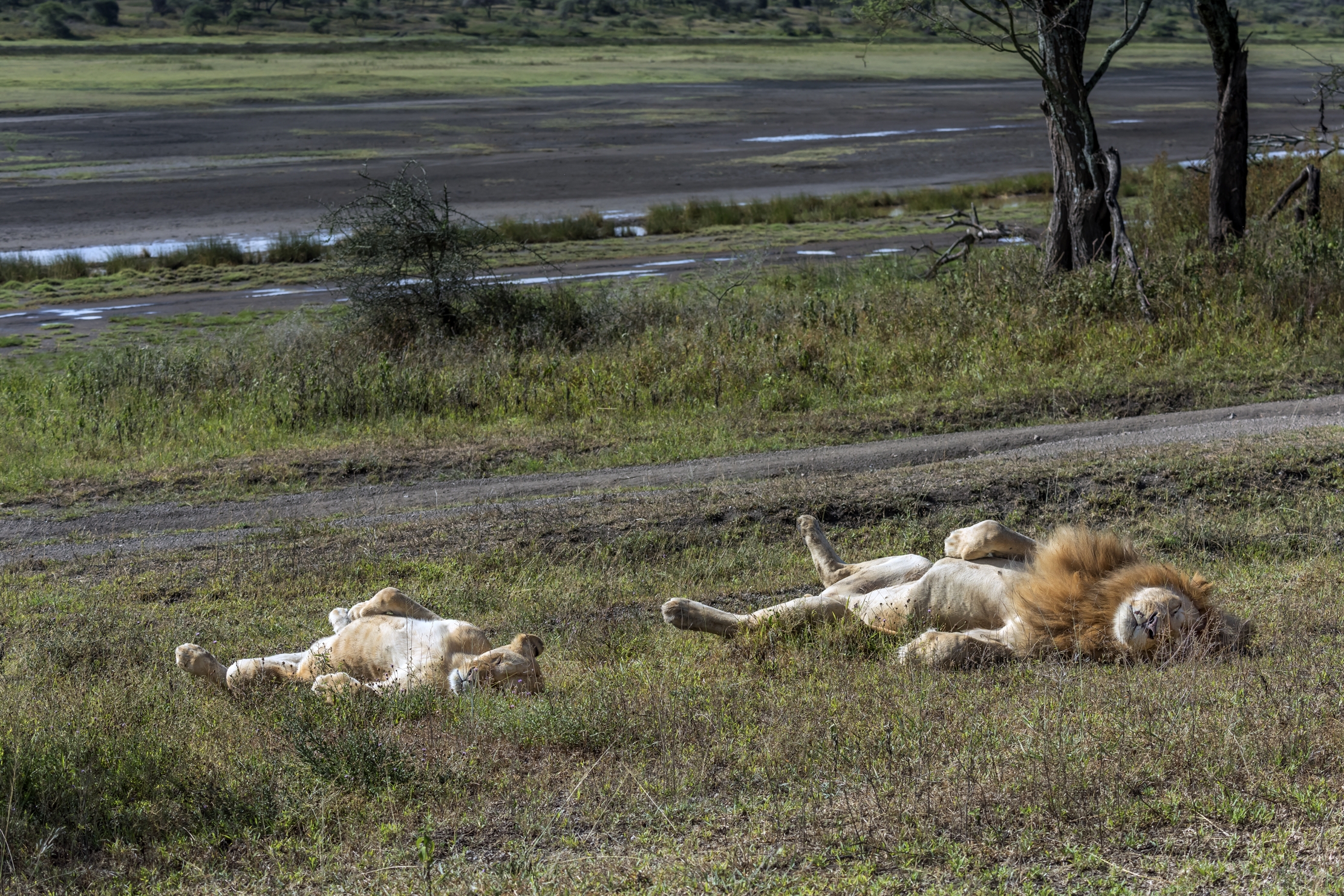 Tanzania 2016 - Al sole