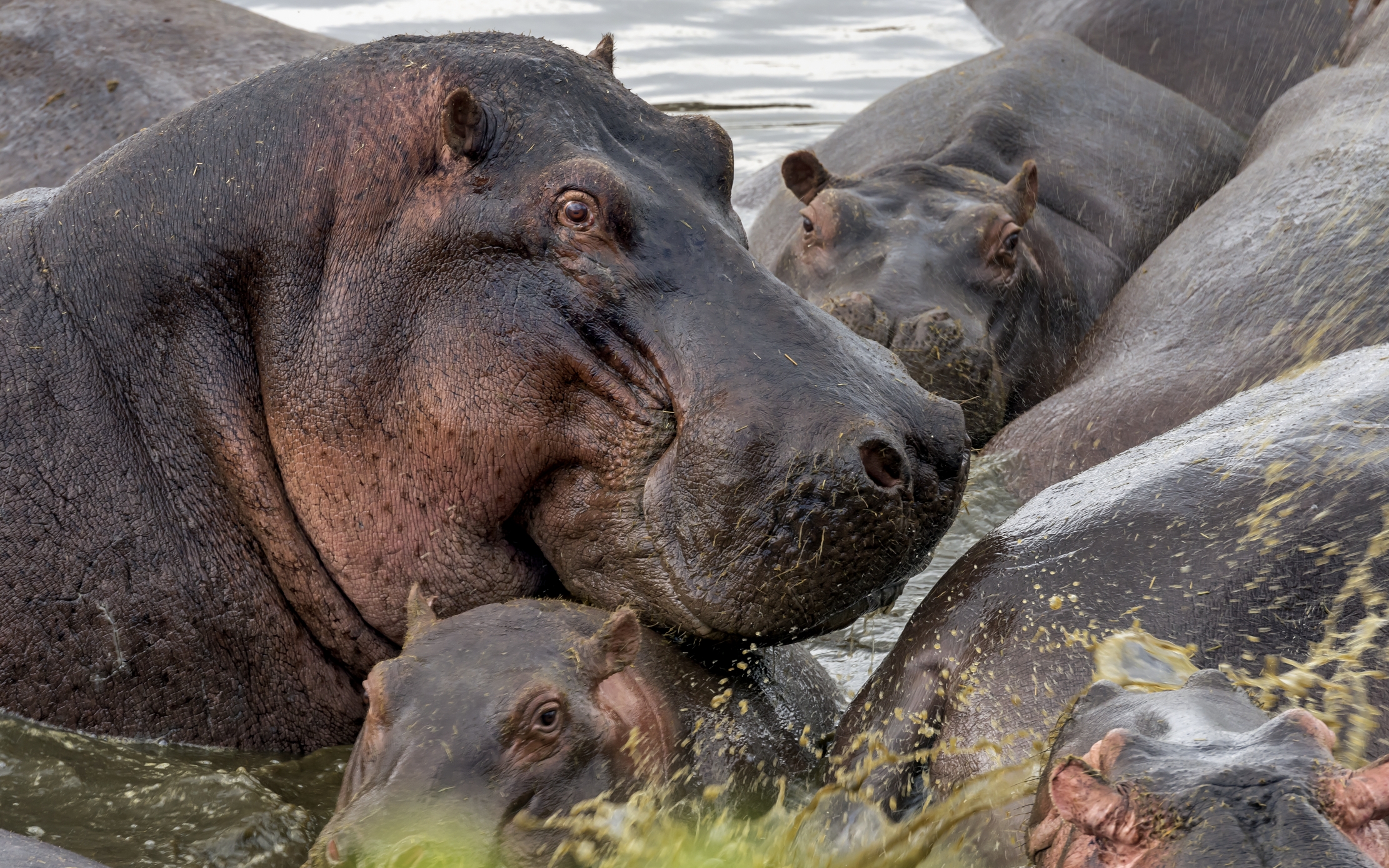 Tanzania 2016 - Ippo