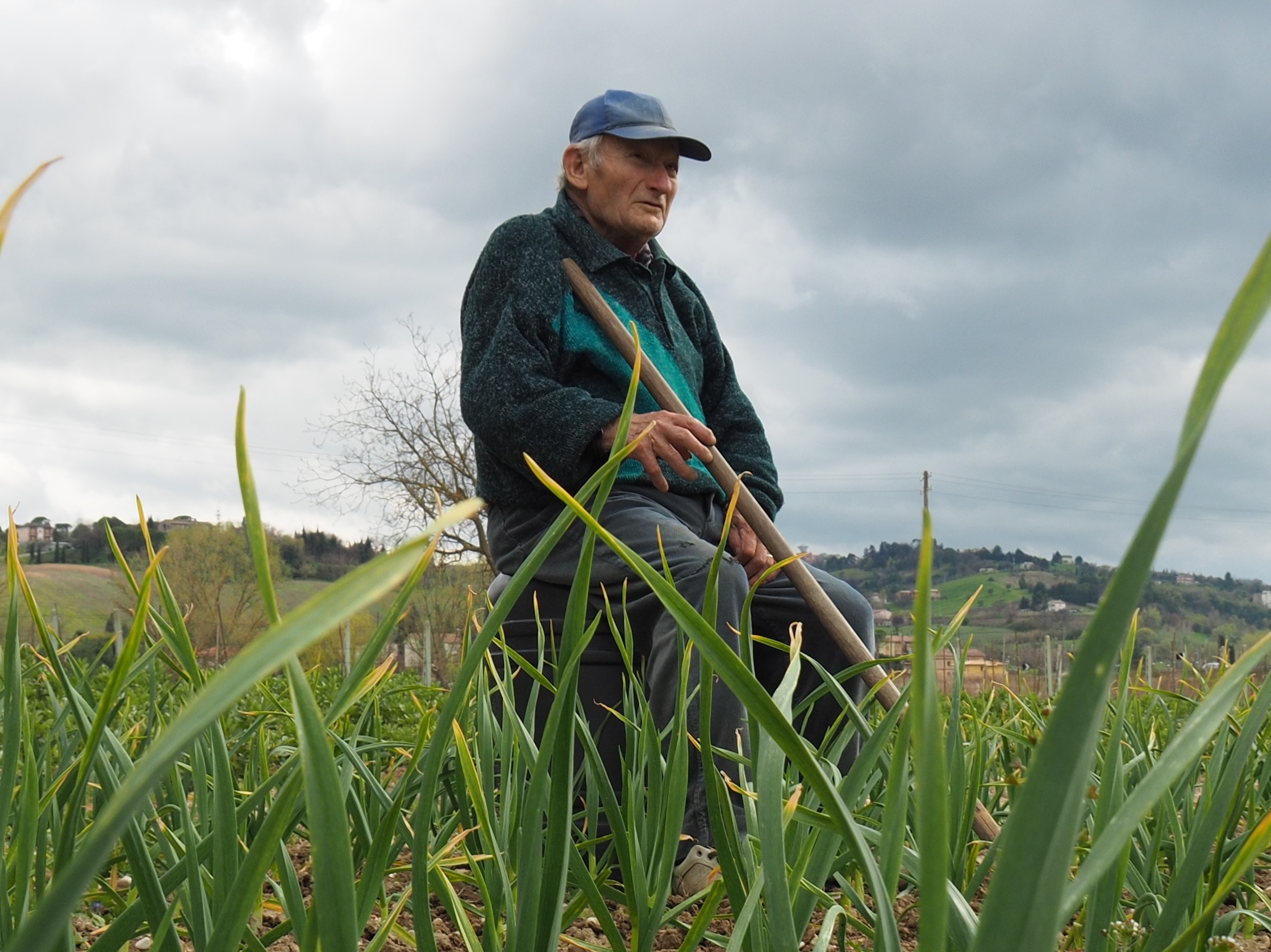 sorvegliando e meditando