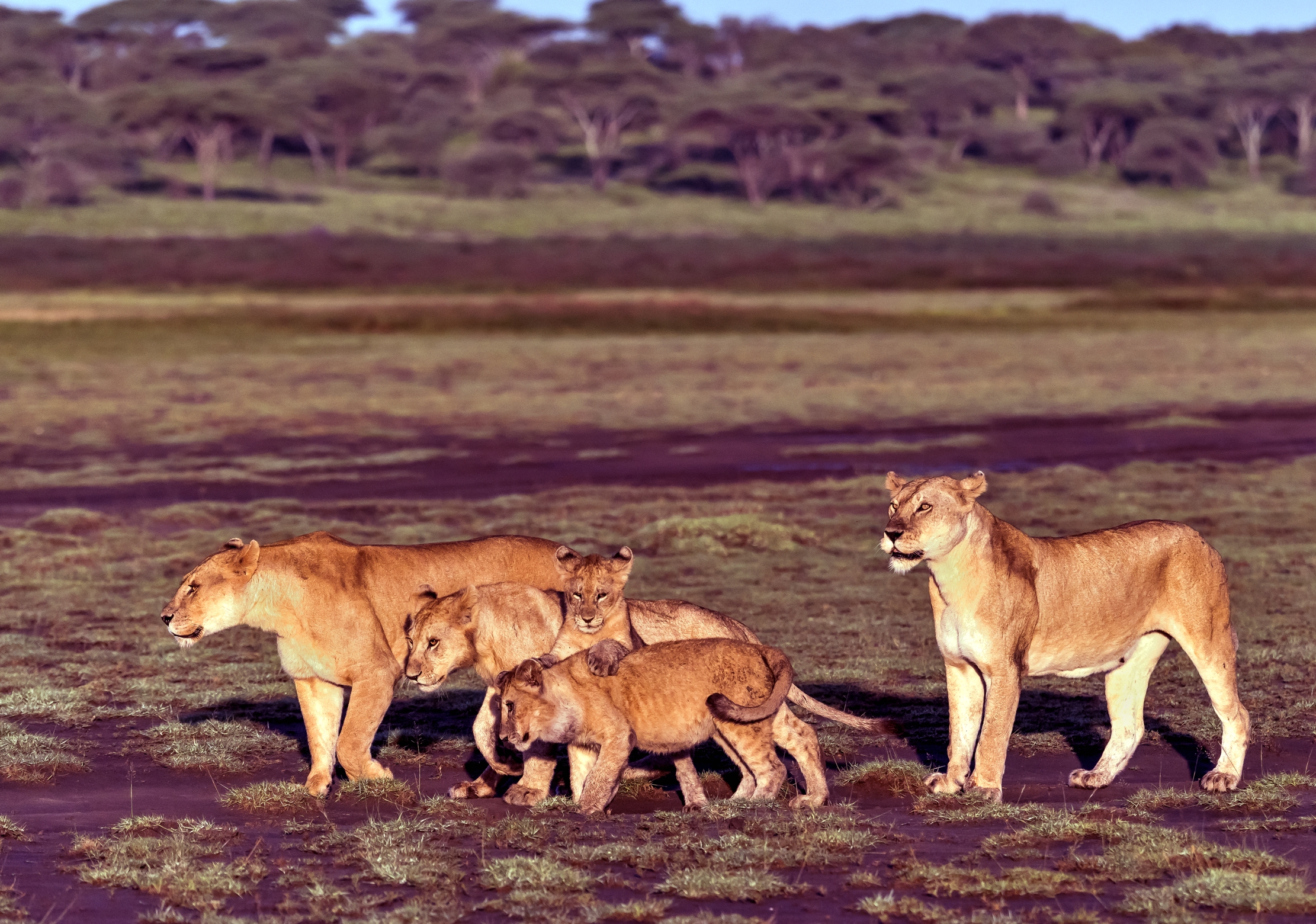 Tanzania 2016 - Clan