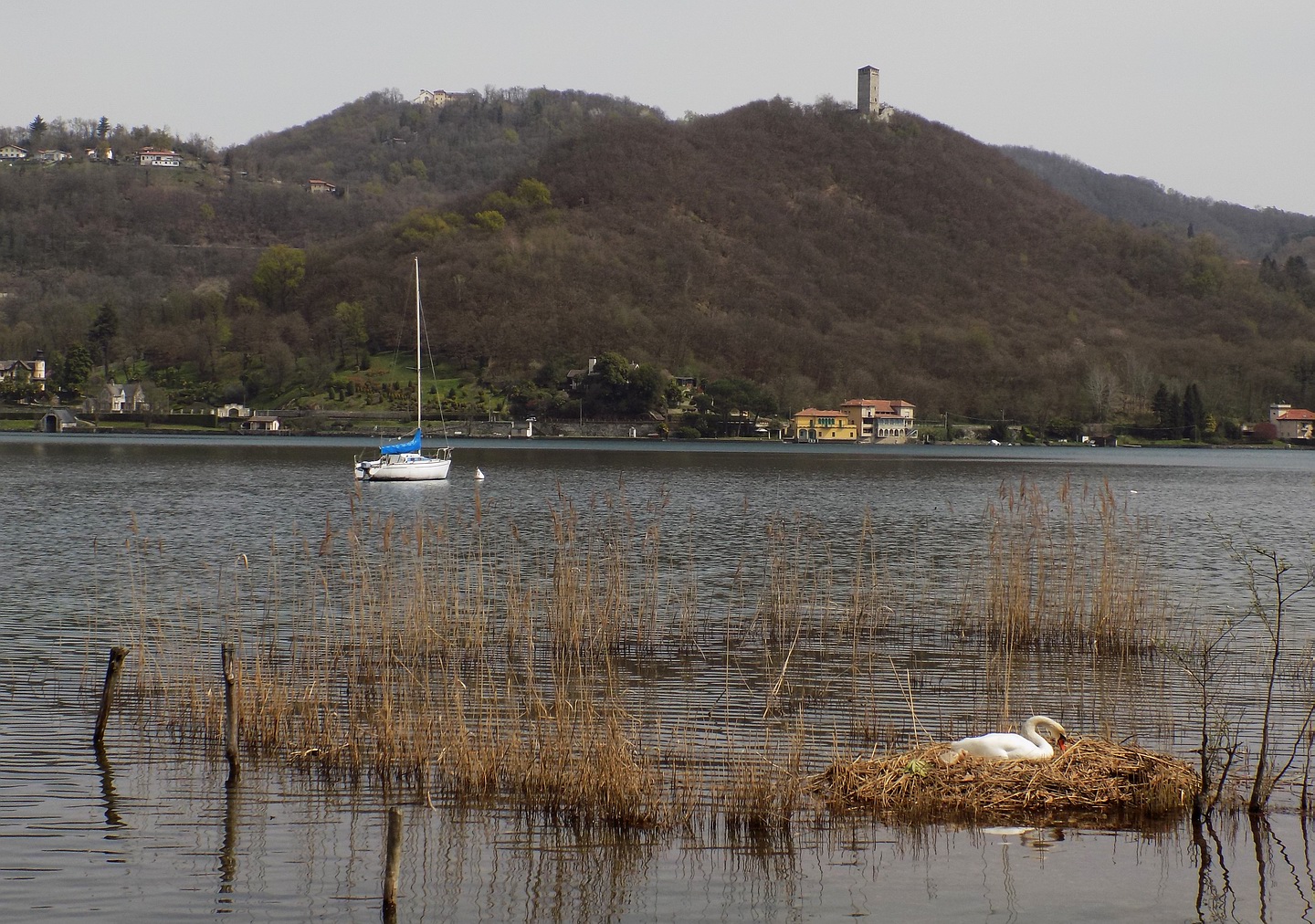 Il nido sul lago