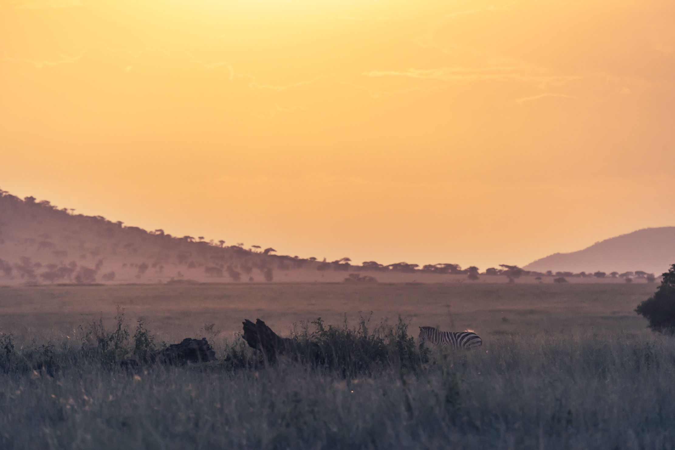 Tanzania 2016 - Tramonto sul Serengeti