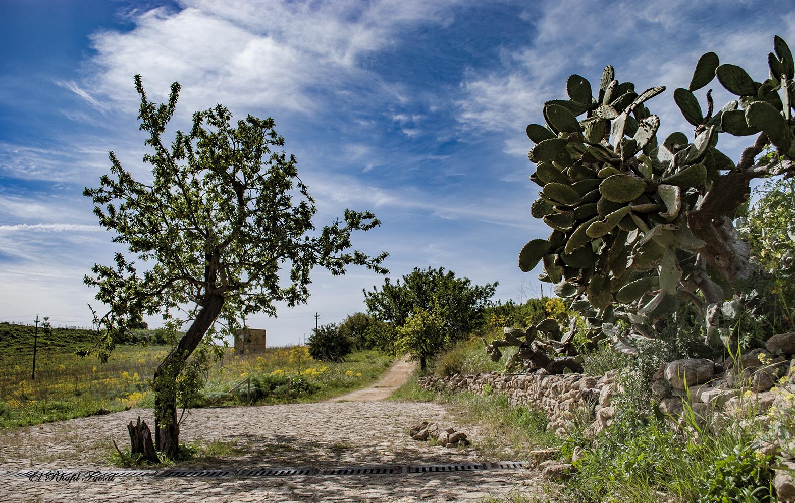 Sabucina area - Caltanissetta