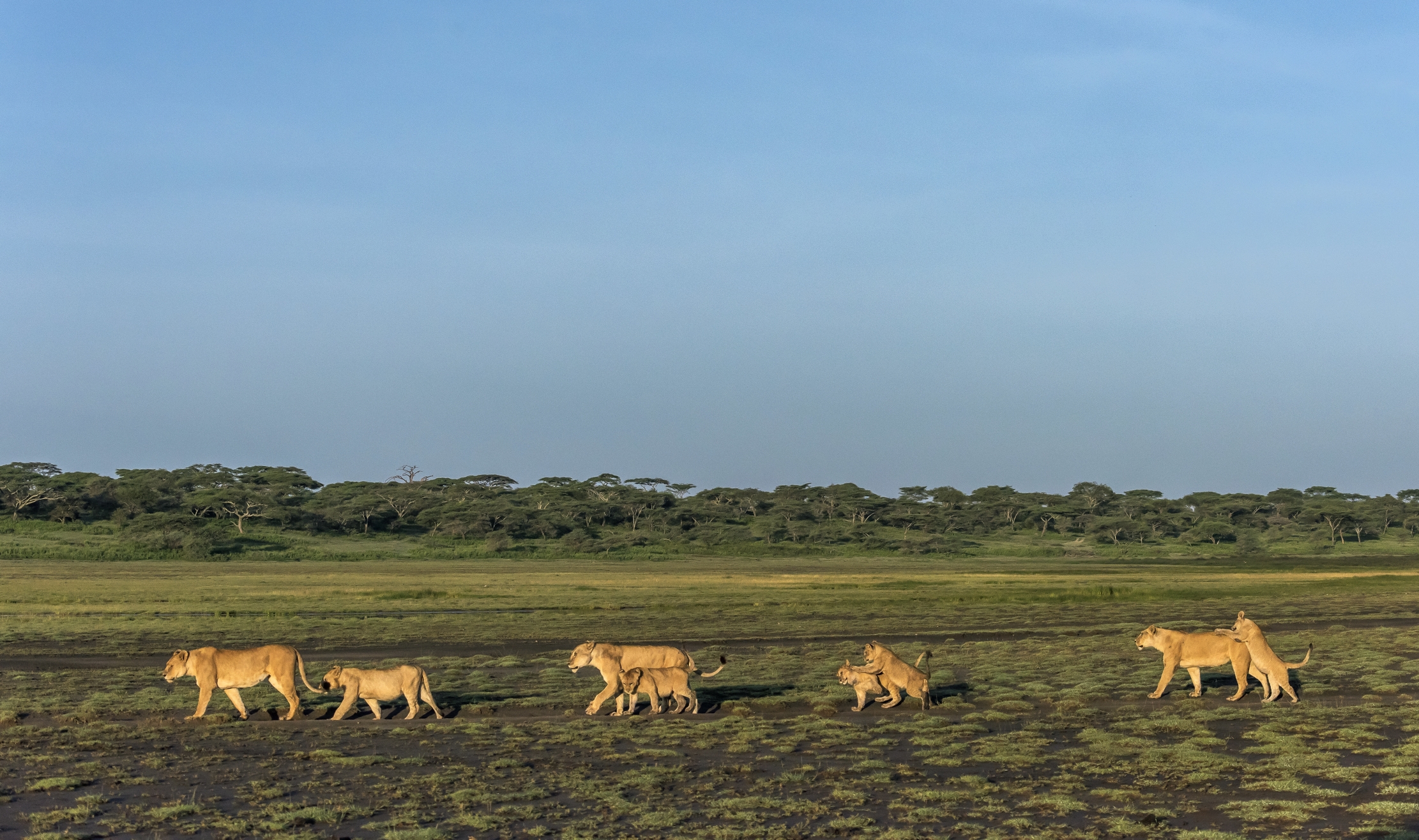 Tanzania 2016 - Famigliola