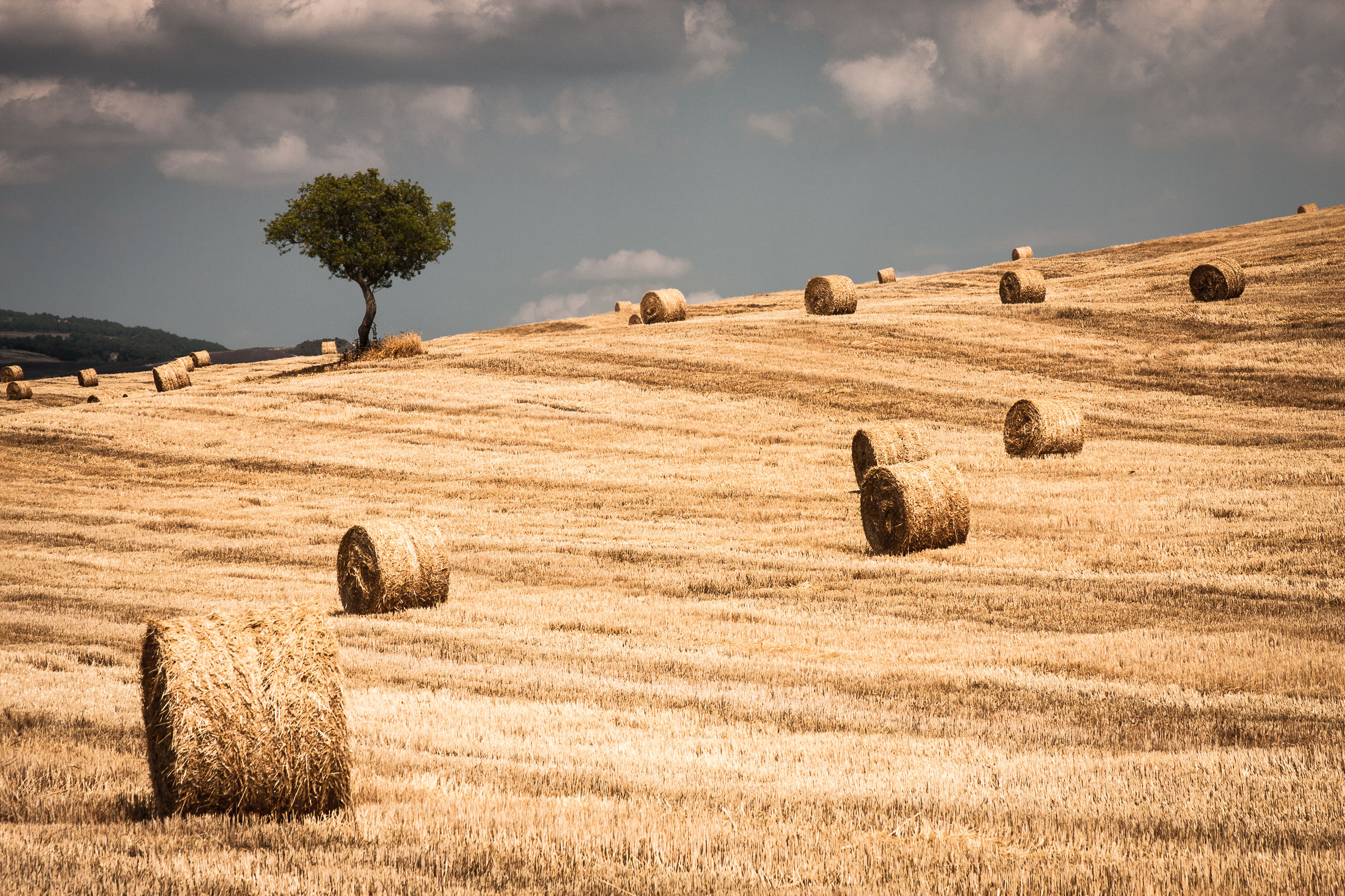 Calura in Val d'Orcia